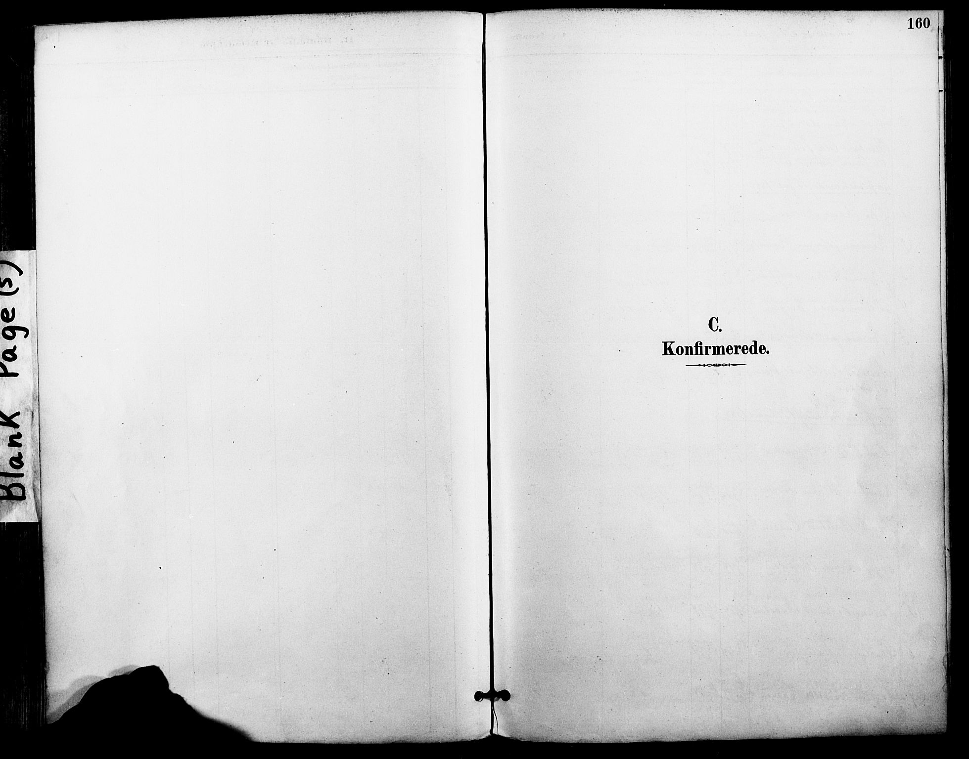 Ministerialprotokoller, klokkerbøker og fødselsregistre - Nordland, SAT/A-1459/801/L0010: Parish register (official) no. 801A10, 1888-1899, p. 160