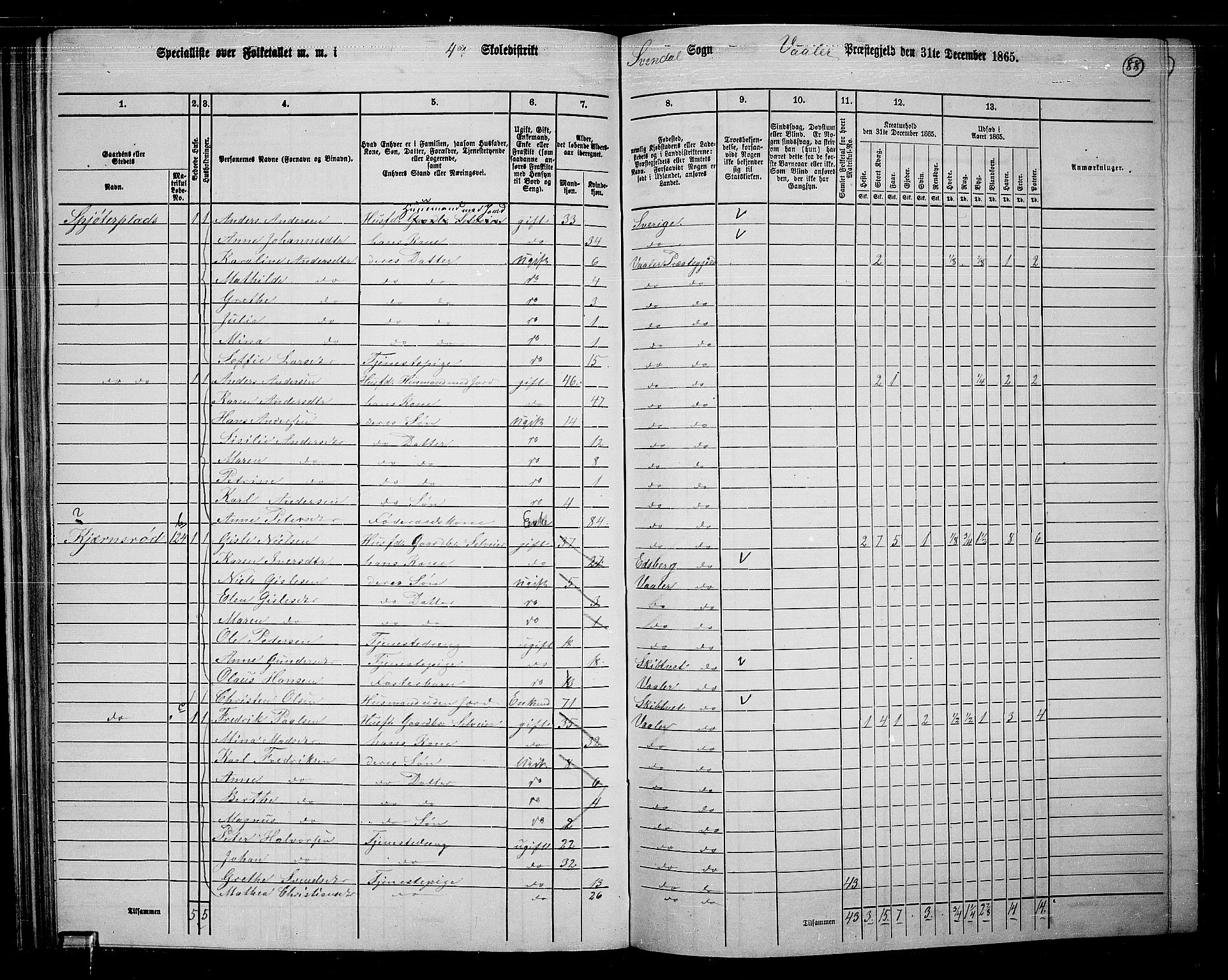 RA, 1865 census for Våler, 1865, p. 78