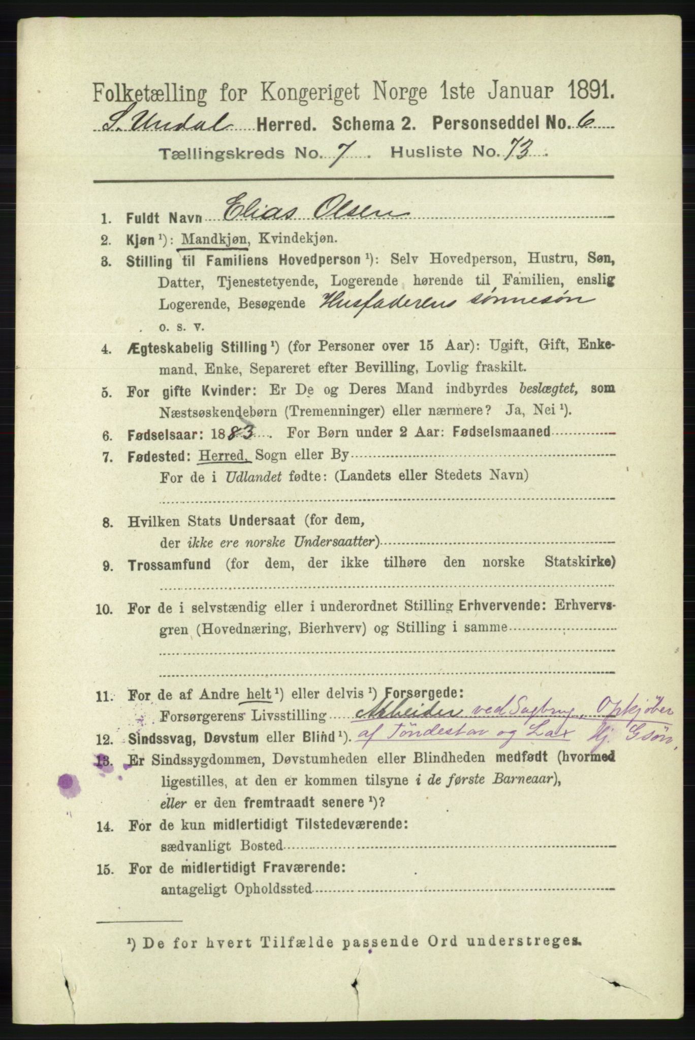 RA, 1891 census for 1029 Sør-Audnedal, 1891, p. 2964