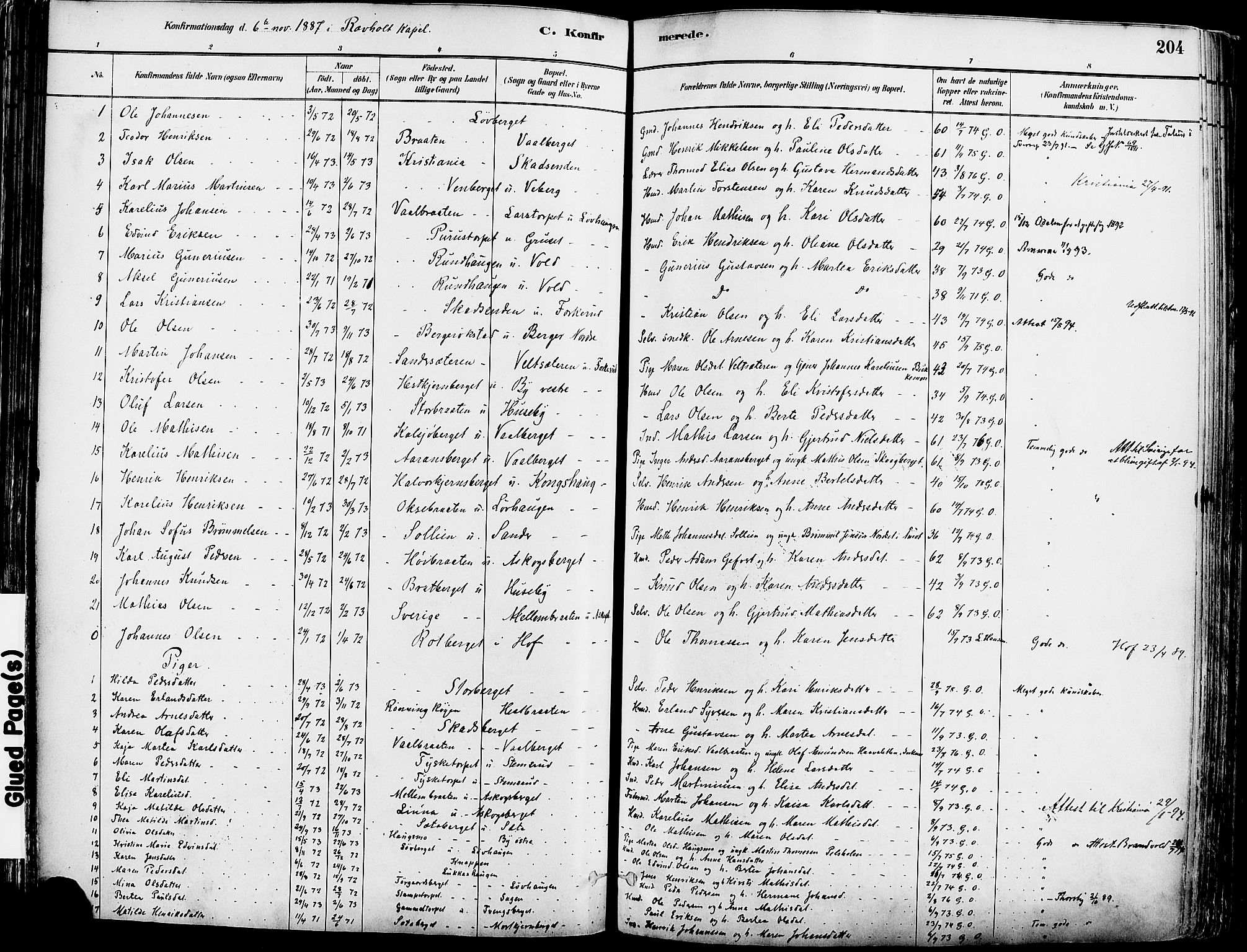 Grue prestekontor, SAH/PREST-036/H/Ha/Haa/L0012: Parish register (official) no. 12, 1881-1897, p. 204