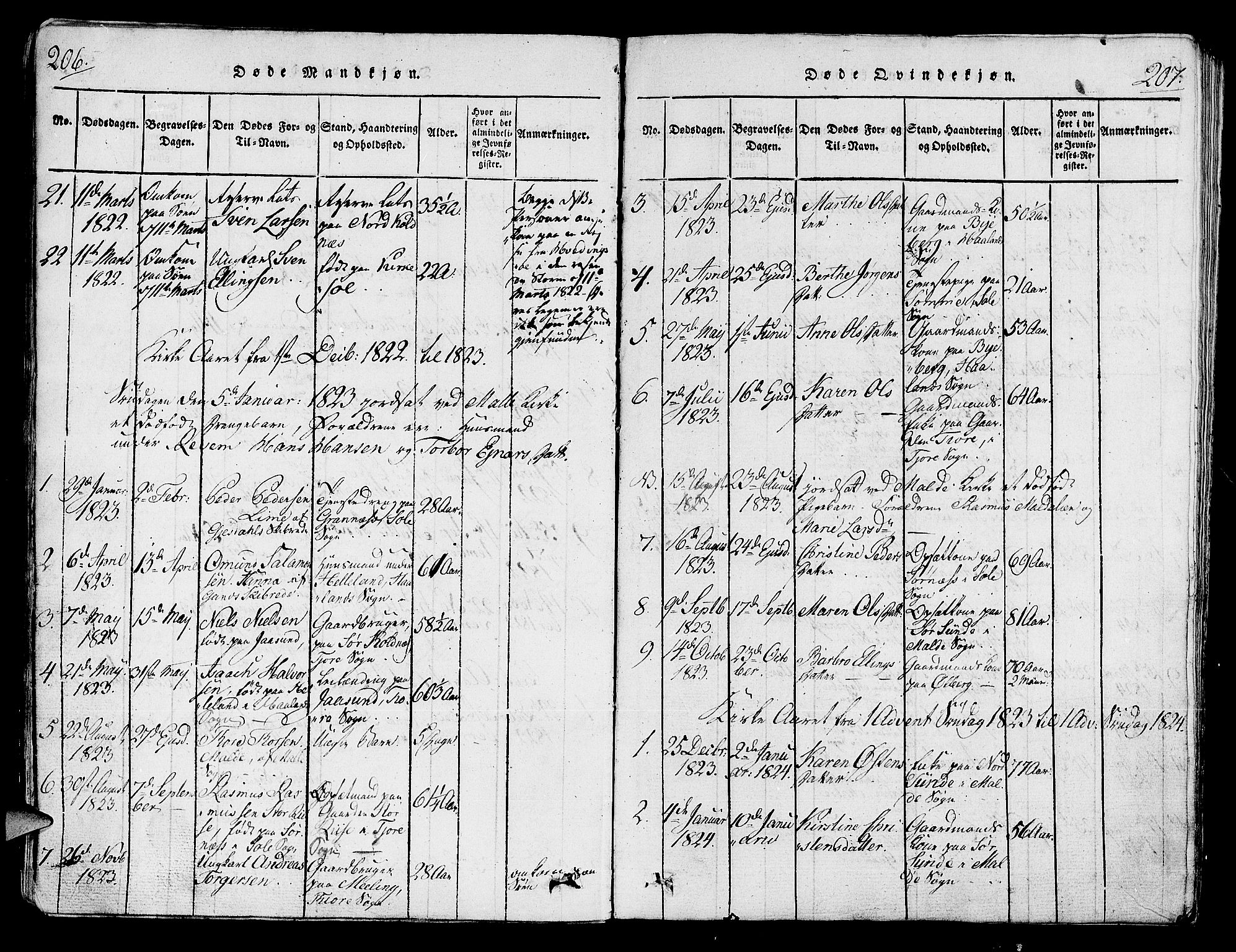 Håland sokneprestkontor, SAST/A-101802/001/30BA/L0004: Parish register (official) no. A 4, 1815-1829, p. 206-207