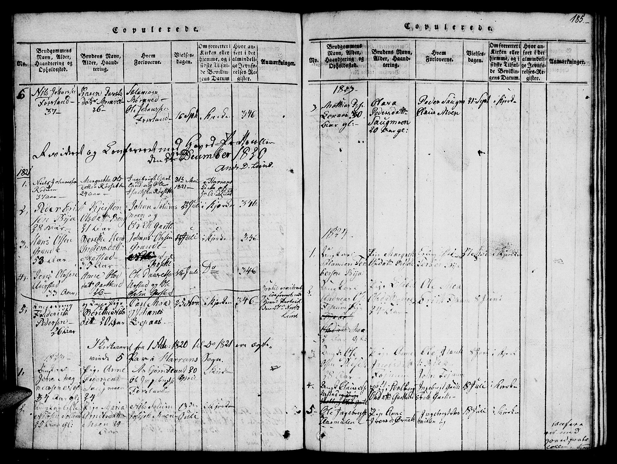 Ministerialprotokoller, klokkerbøker og fødselsregistre - Nord-Trøndelag, SAT/A-1458/759/L0527: Parish register (copy) no. 759C01 /1, 1816-1825, p. 185