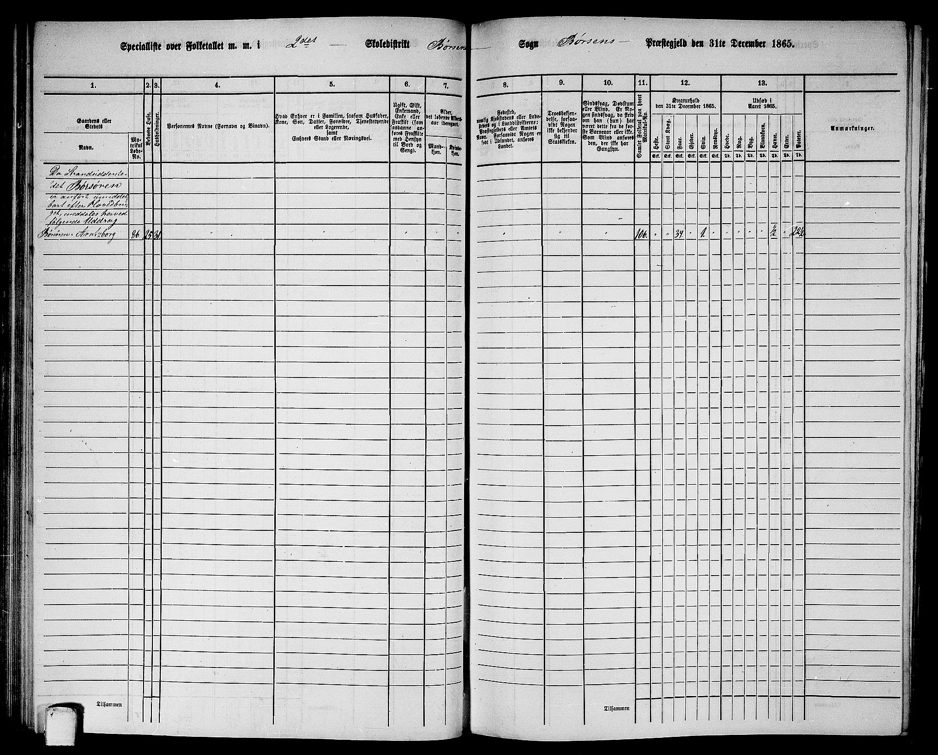 RA, 1865 census for Børsa, 1865, p. 51