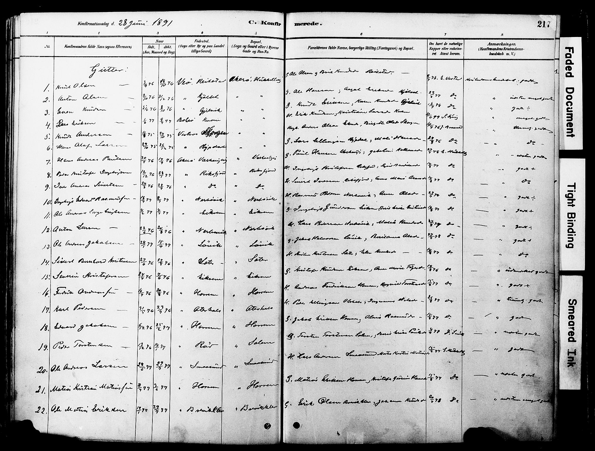 Ministerialprotokoller, klokkerbøker og fødselsregistre - Møre og Romsdal, SAT/A-1454/560/L0721: Parish register (official) no. 560A05, 1878-1917, p. 217