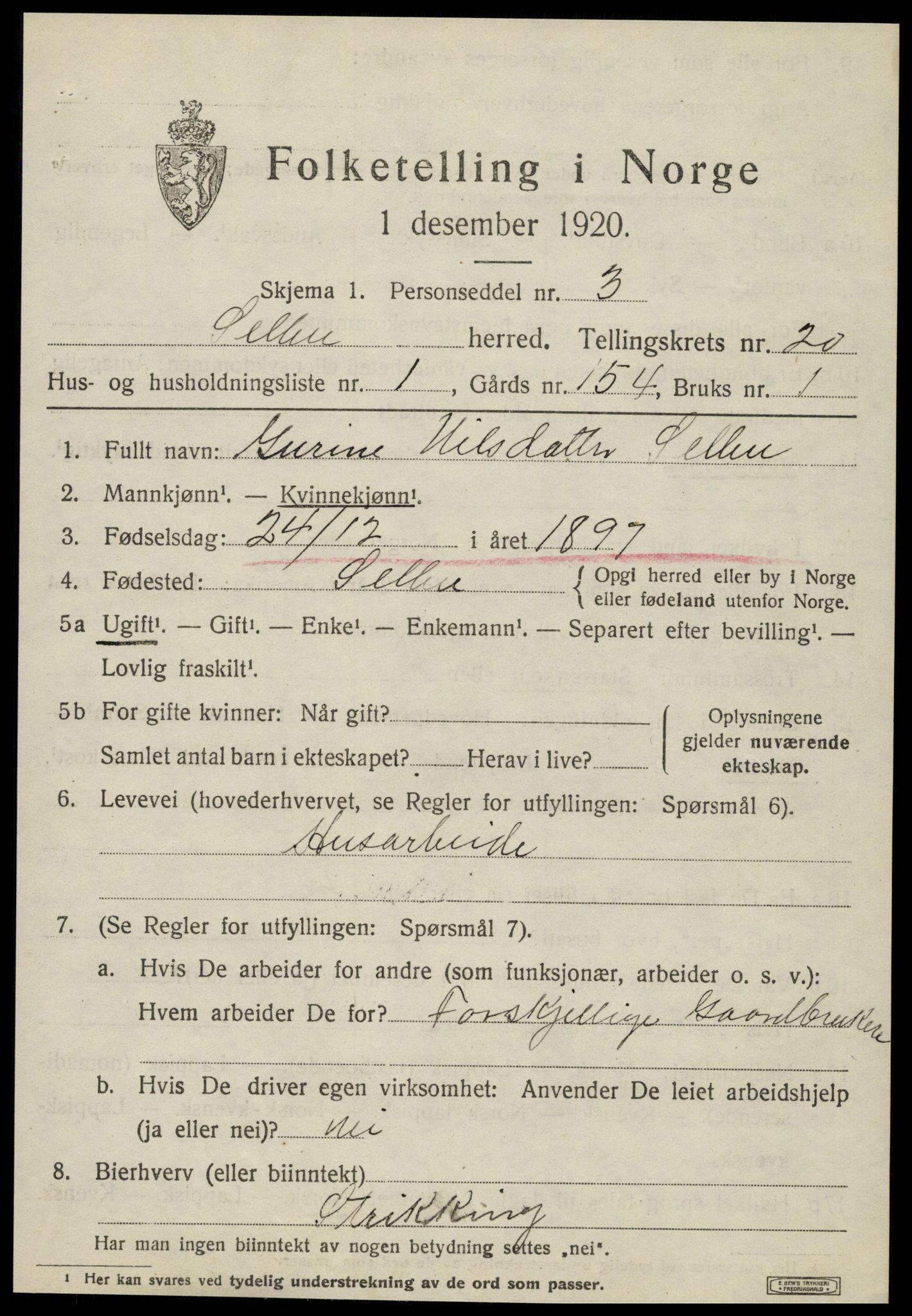 SAT, 1920 census for Selbu, 1920, p. 10212