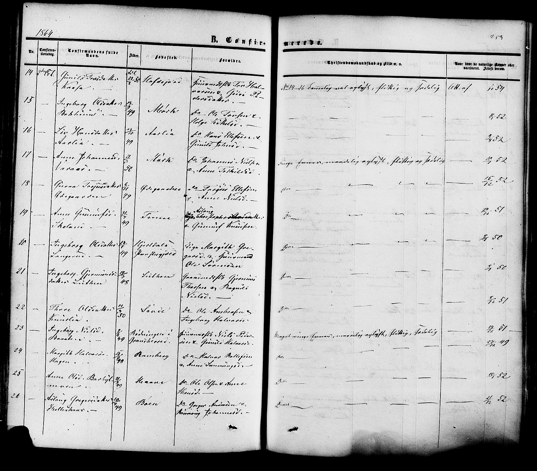 Heddal kirkebøker, SAKO/A-268/F/Fa/L0007: Parish register (official) no. I 7, 1855-1877, p. 253