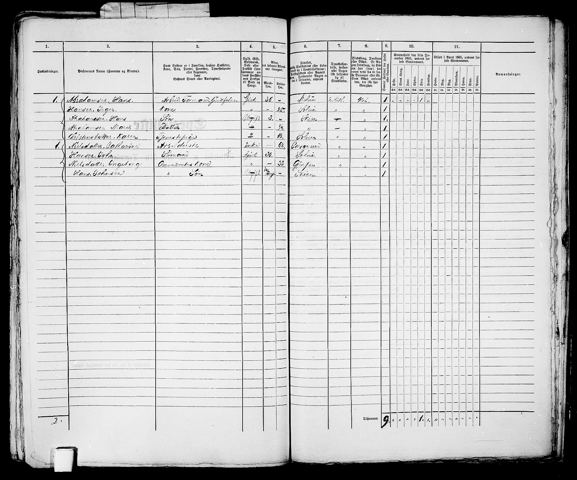 RA, 1865 census for Skien, 1865, p. 1241