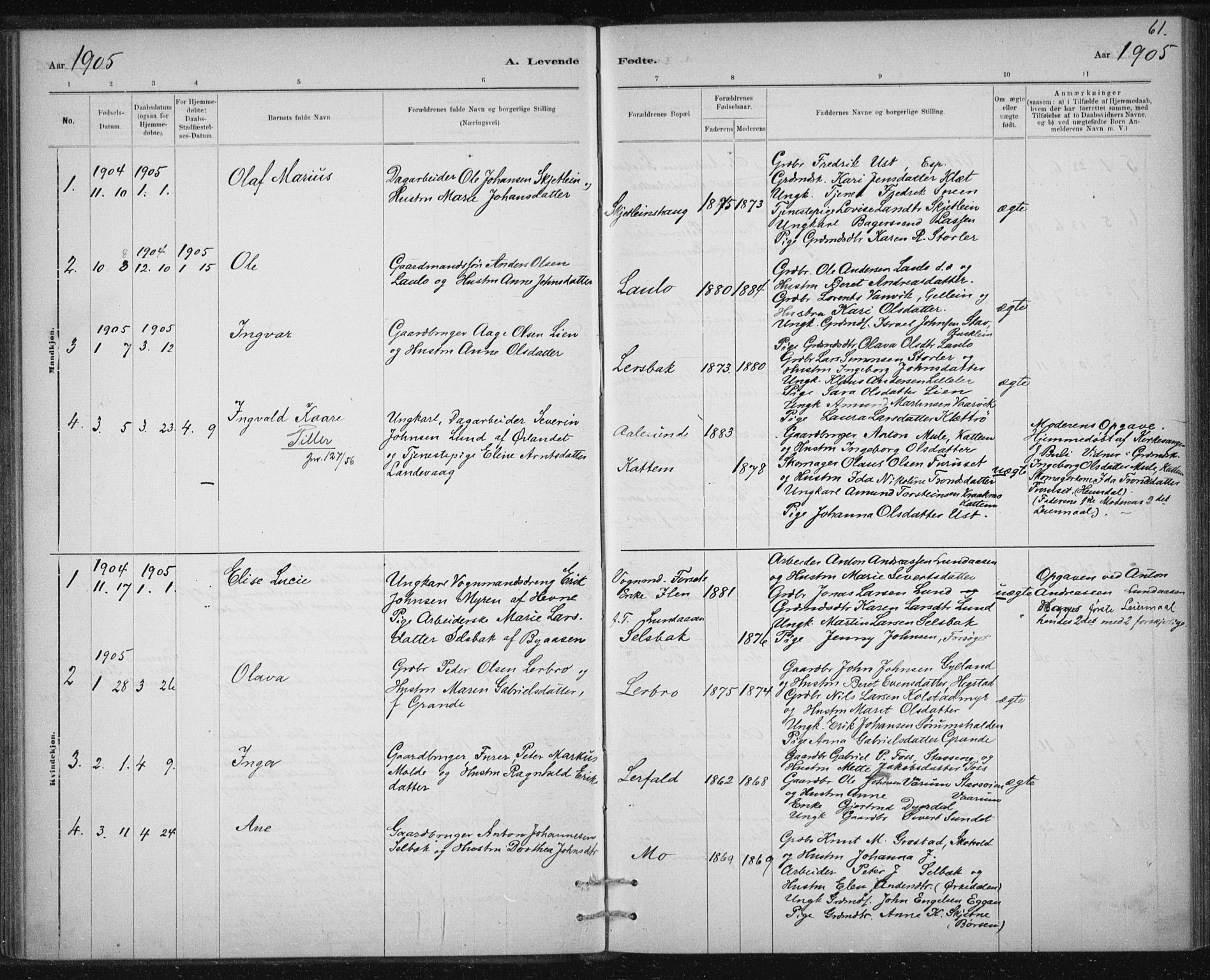 Ministerialprotokoller, klokkerbøker og fødselsregistre - Sør-Trøndelag, SAT/A-1456/613/L0392: Parish register (official) no. 613A01, 1887-1906, p. 61