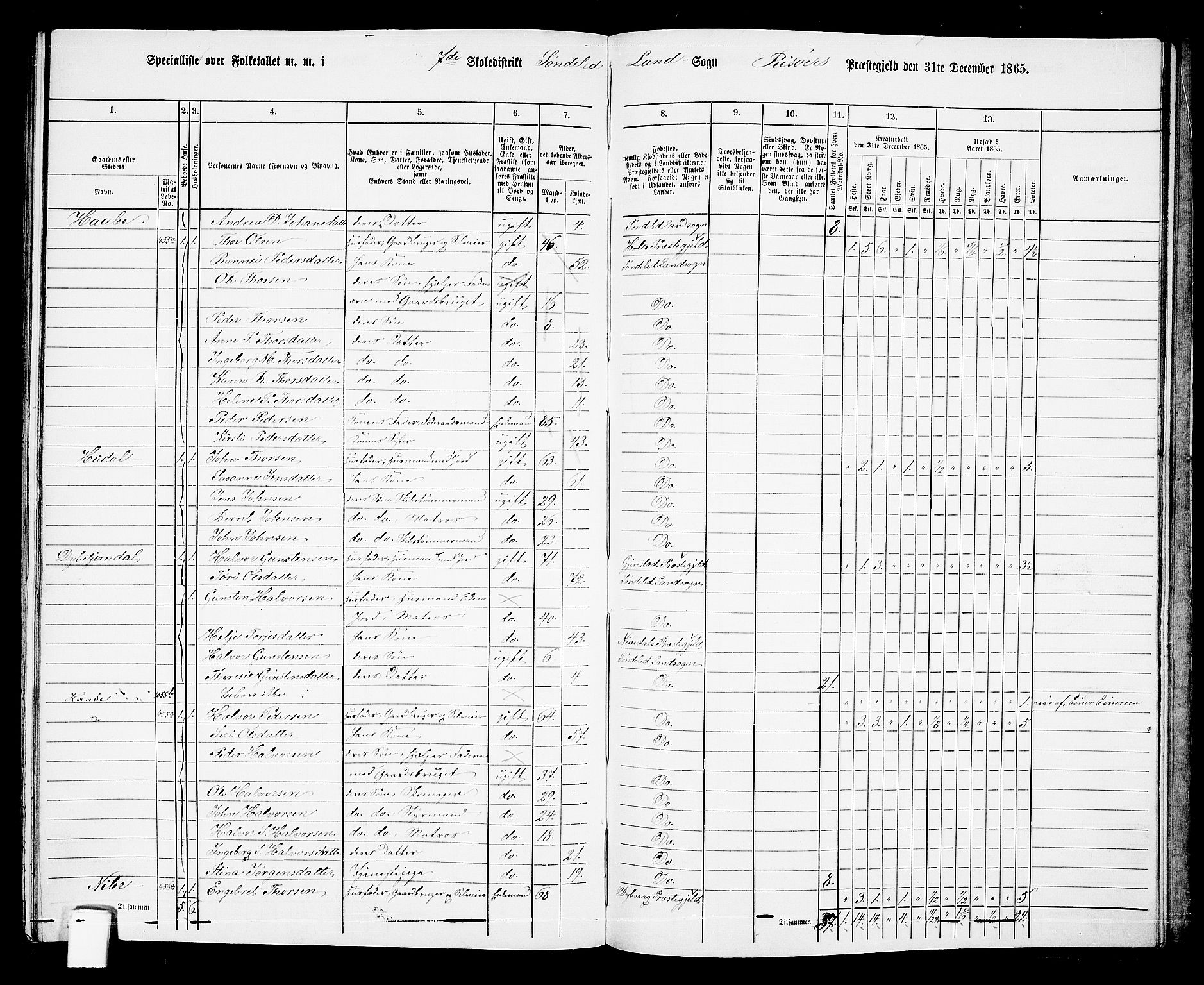 RA, 1865 census for Risør/Søndeled, 1865, p. 134