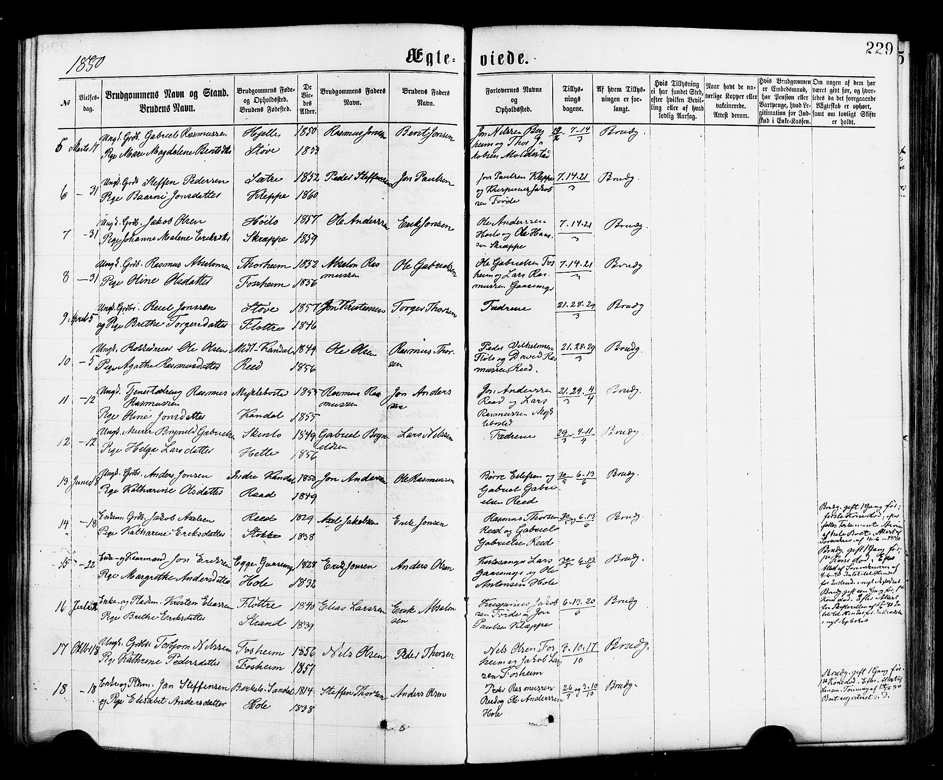 Gloppen sokneprestembete, SAB/A-80101/H/Haa/Haac/L0001: Parish register (official) no. C 1, 1871-1886, p. 229