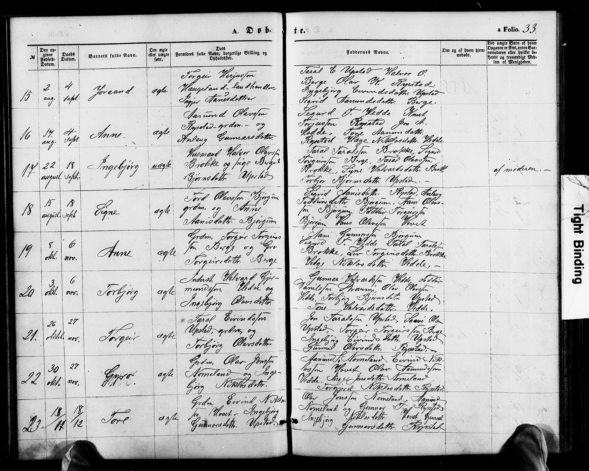 Valle sokneprestkontor, SAK/1111-0044/F/Fb/Fbb/L0002: Parish register (copy) no. B 2, 1875-1921, p. 33