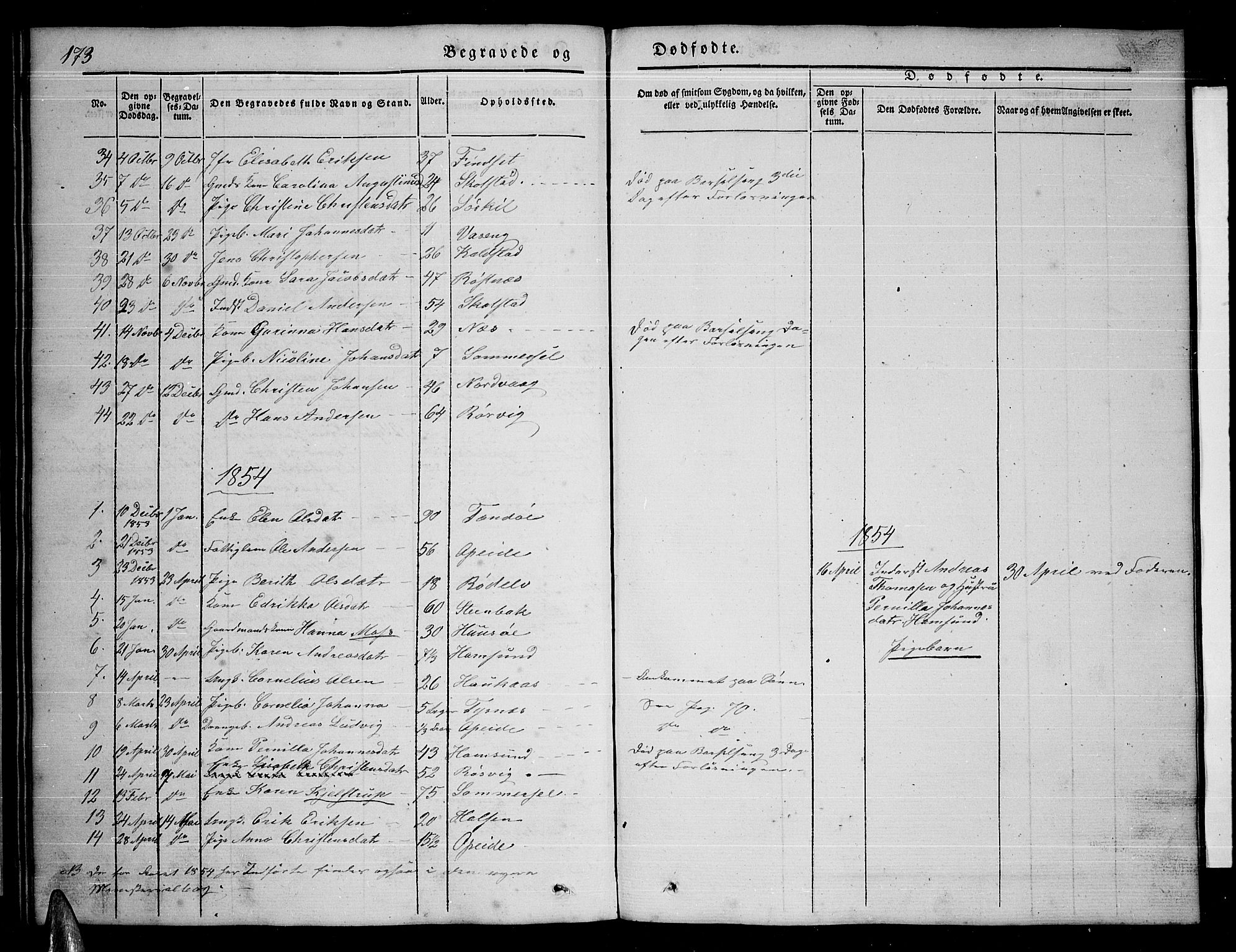 Ministerialprotokoller, klokkerbøker og fødselsregistre - Nordland, AV/SAT-A-1459/859/L0856: Parish register (copy) no. 859C02, 1843-1854, p. 173