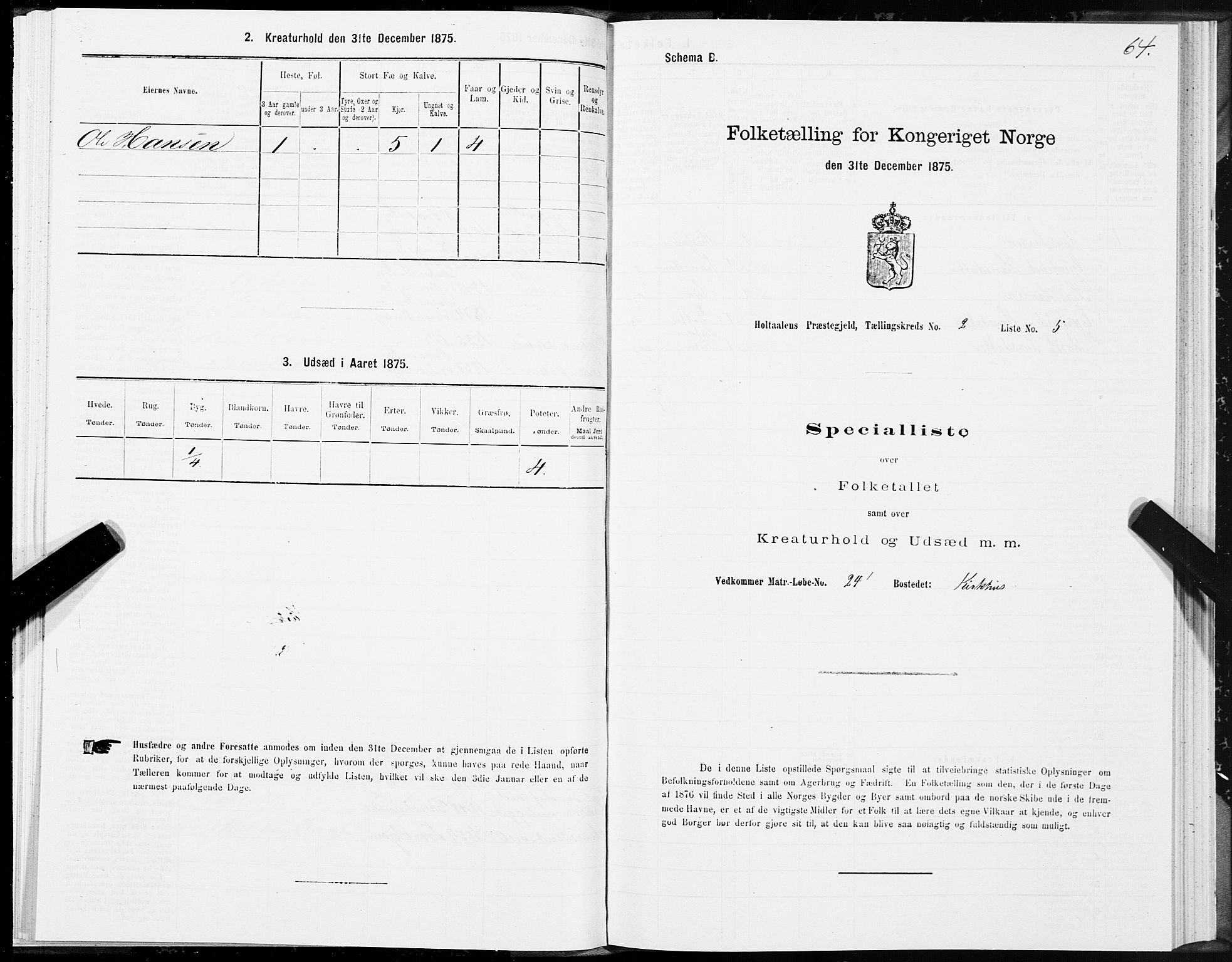 SAT, 1875 census for 1645P Haltdalen, 1875, p. 4064