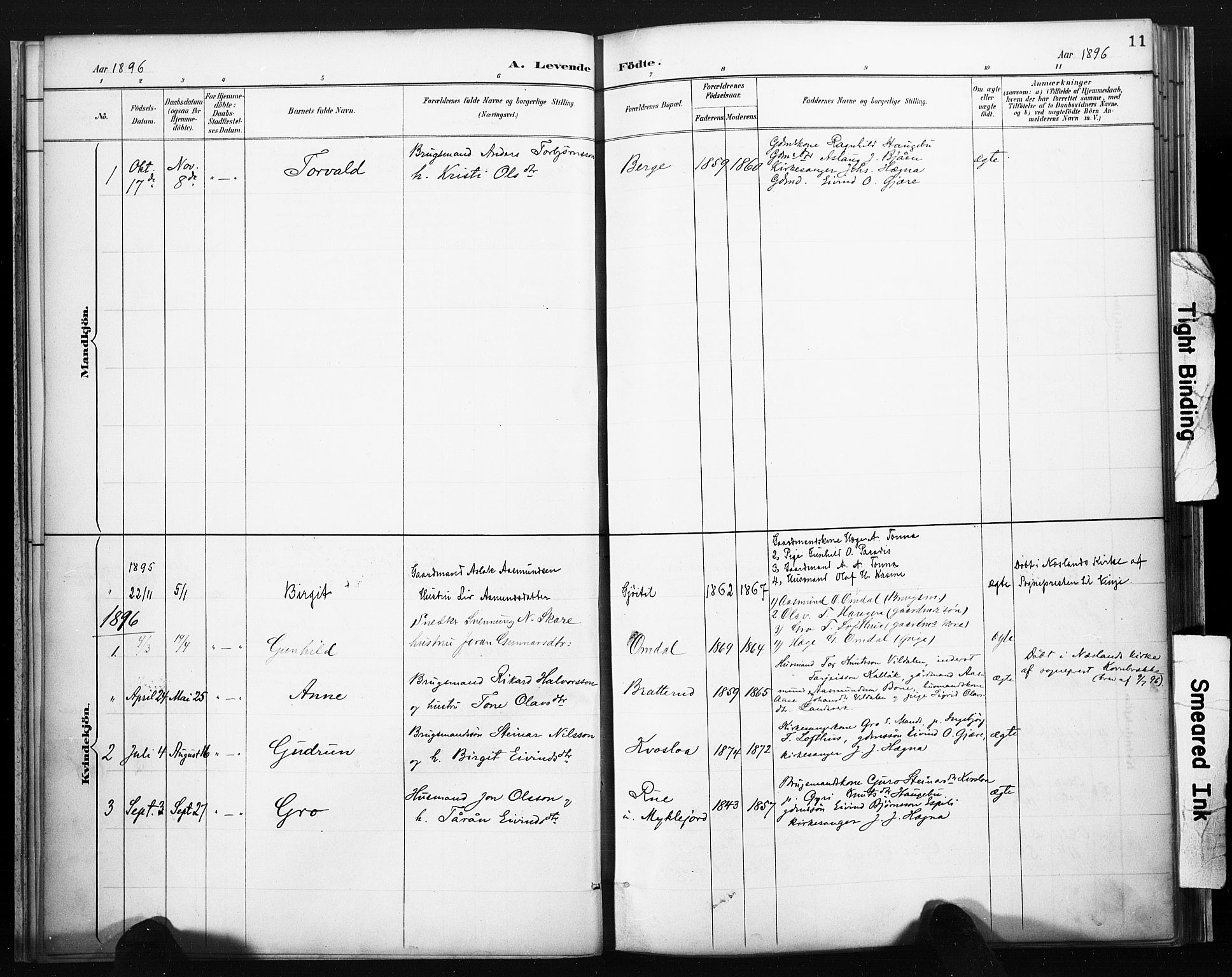 Lårdal kirkebøker, AV/SAKO-A-284/F/Fb/L0002: Parish register (official) no. II 2, 1887-1918, p. 11