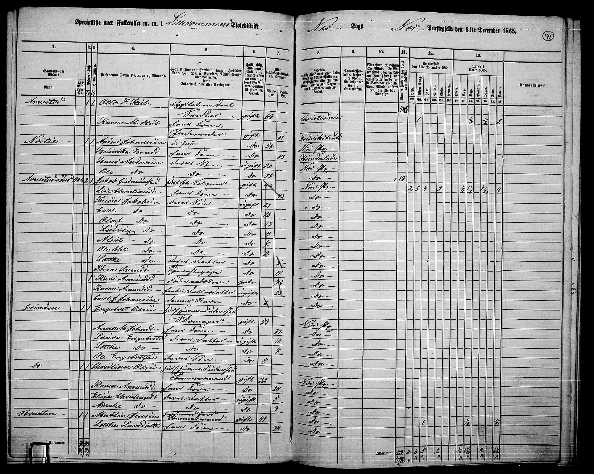 RA, 1865 census for Nes, 1865, p. 128