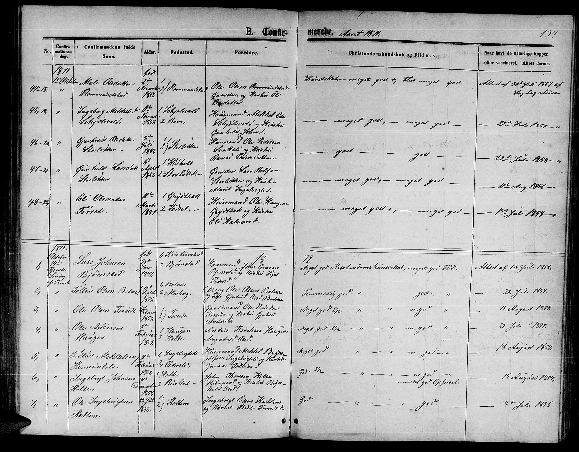 Ministerialprotokoller, klokkerbøker og fødselsregistre - Møre og Romsdal, AV/SAT-A-1454/598/L1076: Parish register (copy) no. 598C01, 1867-1878, p. 134