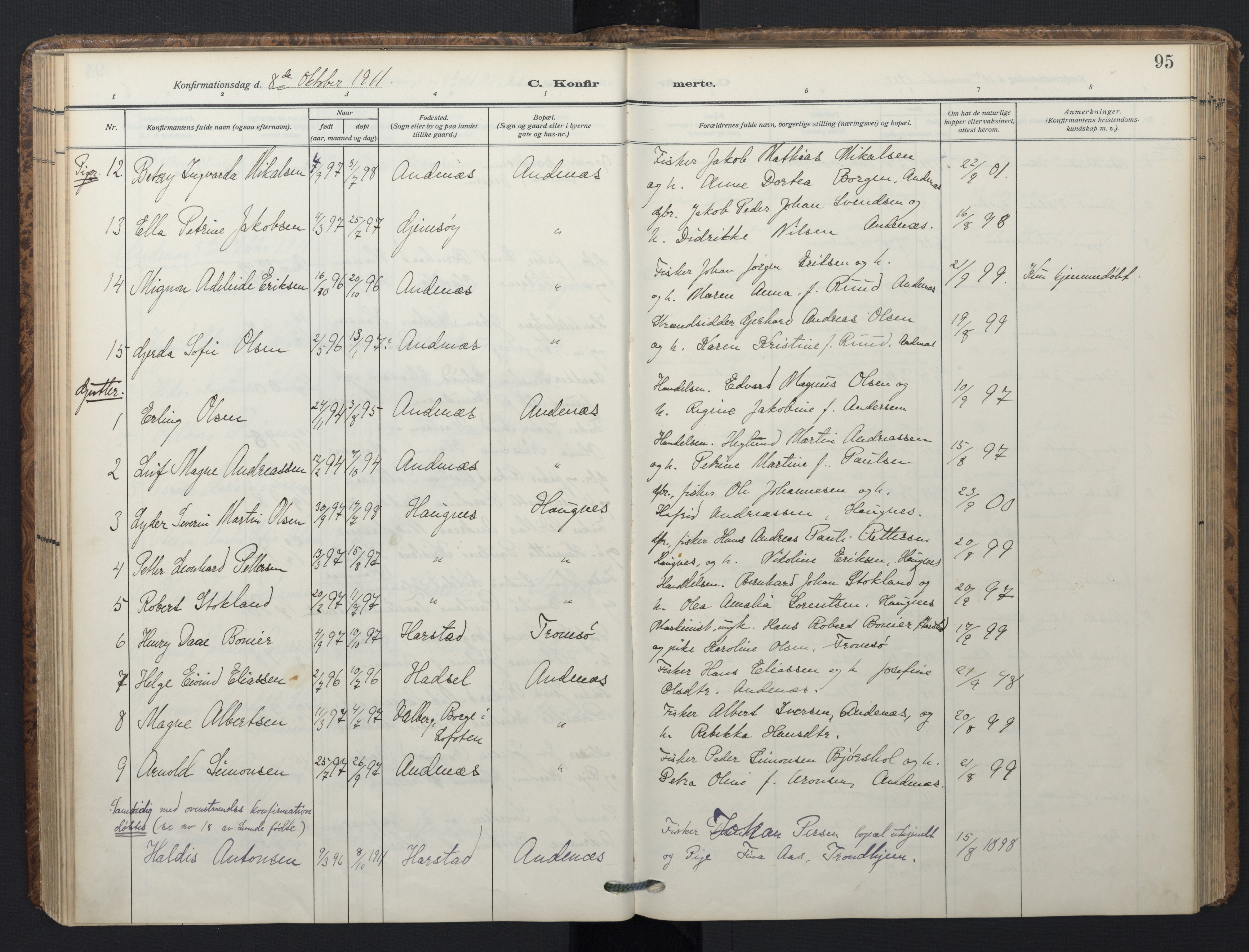 Ministerialprotokoller, klokkerbøker og fødselsregistre - Nordland, SAT/A-1459/899/L1438: Parish register (official) no. 899A06, 1909-1922, p. 95