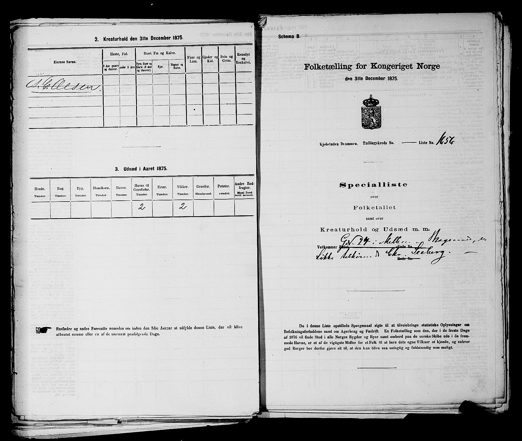 SAKO, 1875 census for 0602 Drammen, 1875, p. 3796