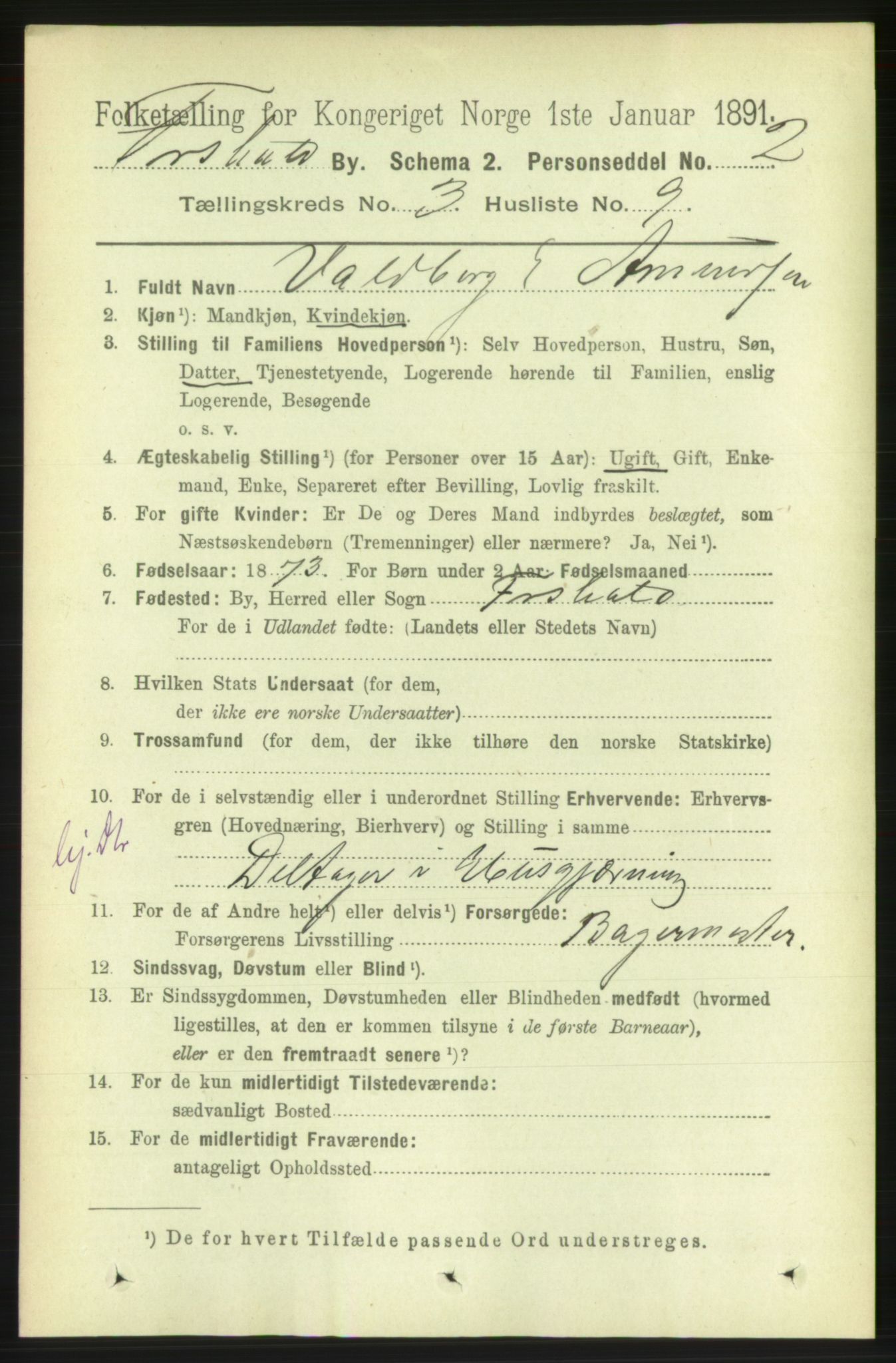 RA, 1891 census for 0101 Fredrikshald, 1891, p. 3341