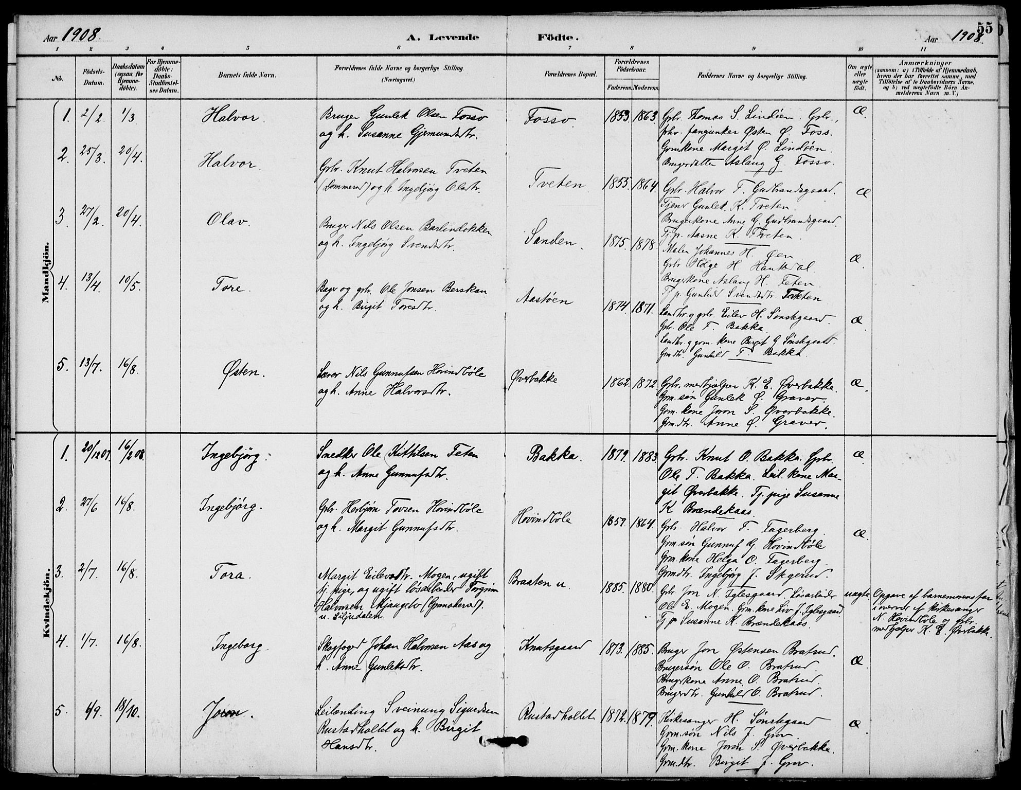 Gransherad kirkebøker, AV/SAKO-A-267/F/Fb/L0005: Parish register (official) no. II 5, 1887-1916, p. 55