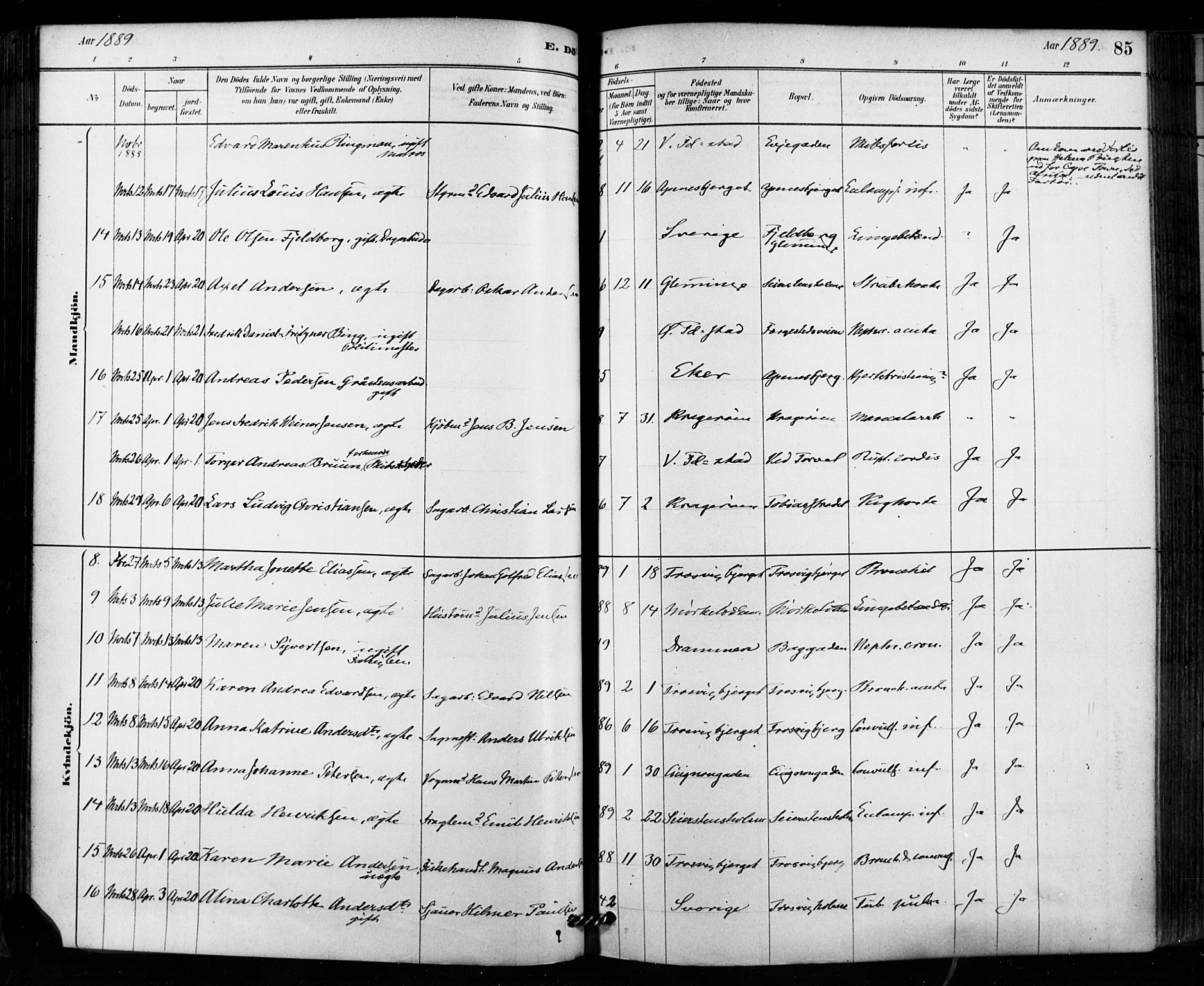 Fredrikstad domkirkes prestekontor Kirkebøker, SAO/A-10906/F/Fa/L0003: Parish register (official) no. 3, 1878-1904, p. 85