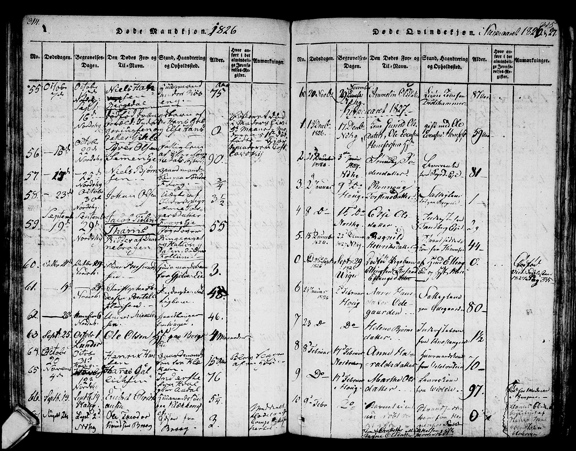 Norderhov kirkebøker, AV/SAKO-A-237/F/Fa/L0008: Parish register (official) no. 8, 1814-1833, p. 314-315