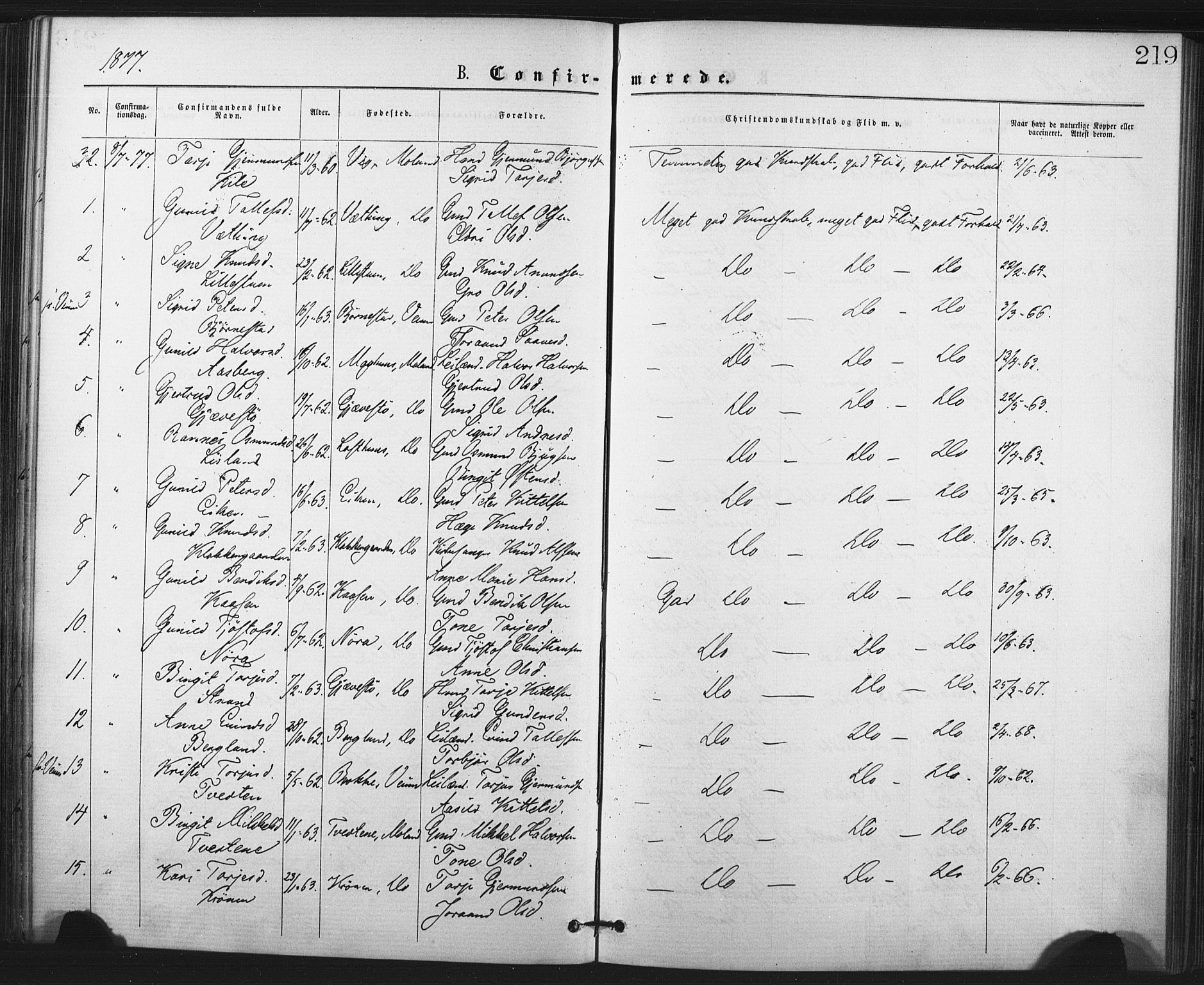 Fyresdal kirkebøker, AV/SAKO-A-263/F/Fa/L0006: Parish register (official) no. I 6, 1872-1886, p. 219