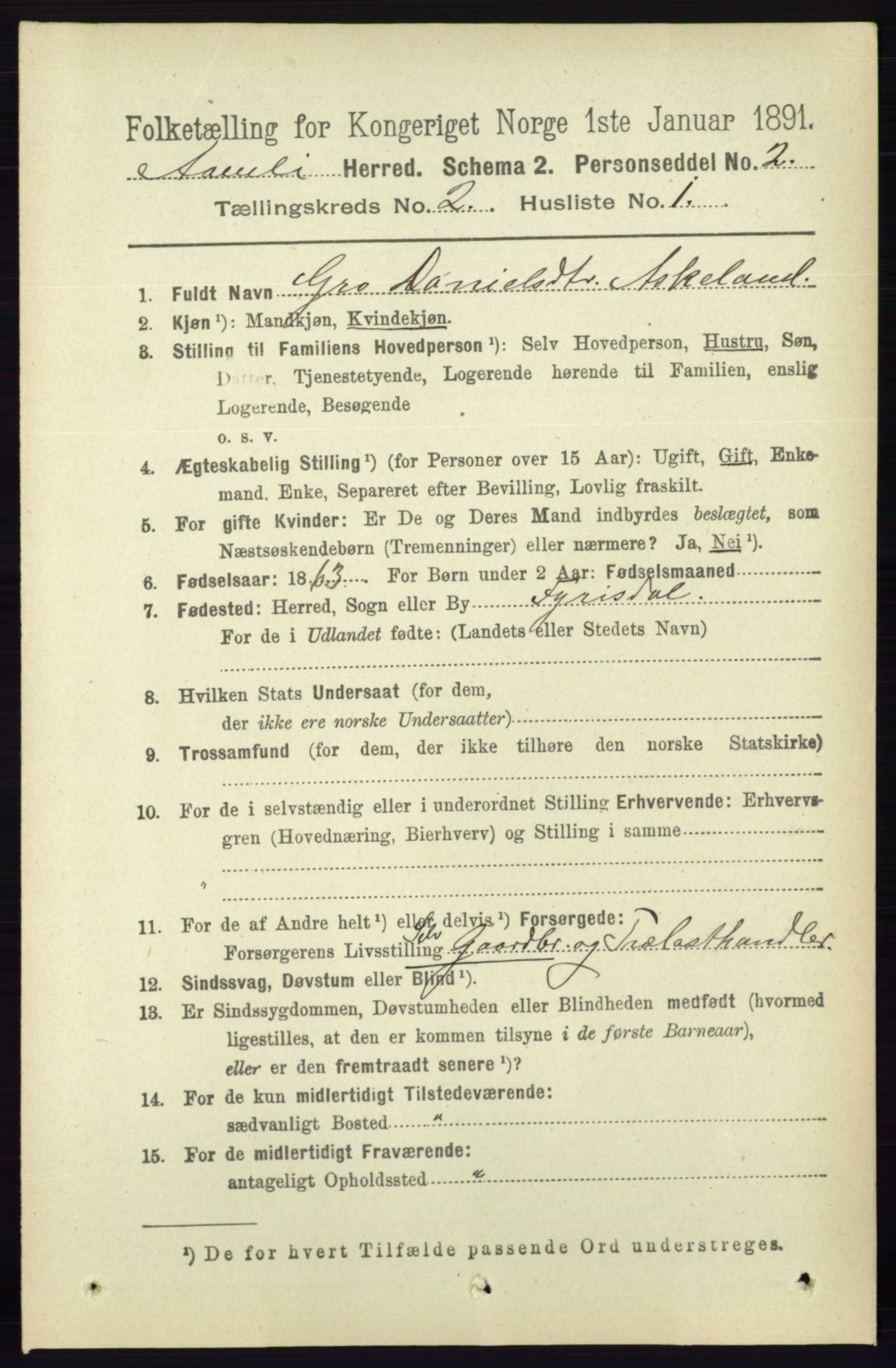 RA, 1891 census for 0929 Åmli, 1891, p. 171