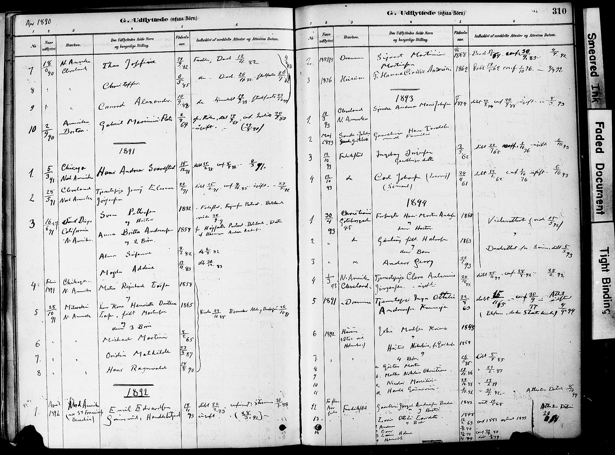 Strømm kirkebøker, AV/SAKO-A-322/F/Fa/L0004: Parish register (official) no. I 4, 1878-1899, p. 310