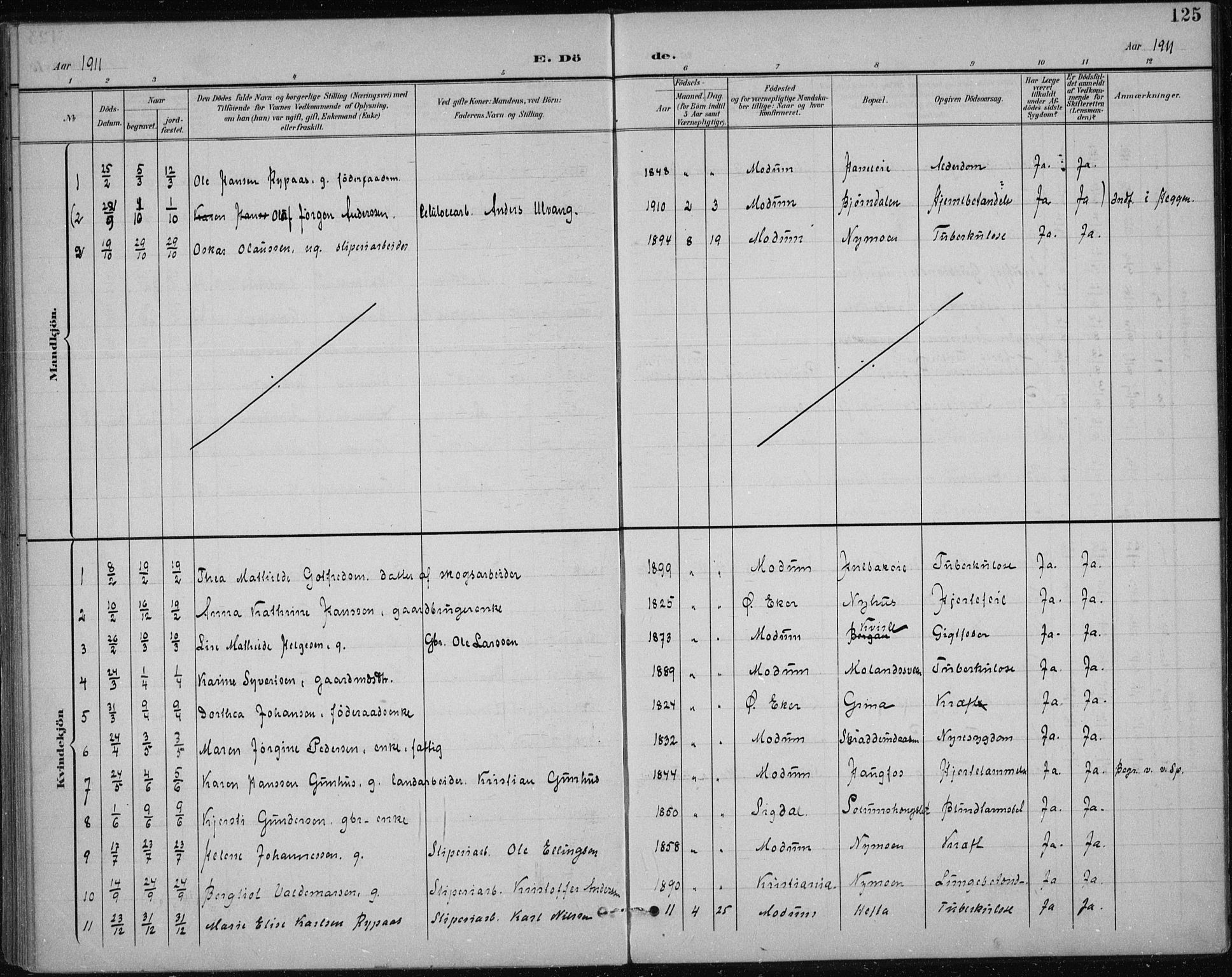 Modum kirkebøker, AV/SAKO-A-234/F/Fa/L0017: Parish register (official) no. 17, 1900-1915, p. 125