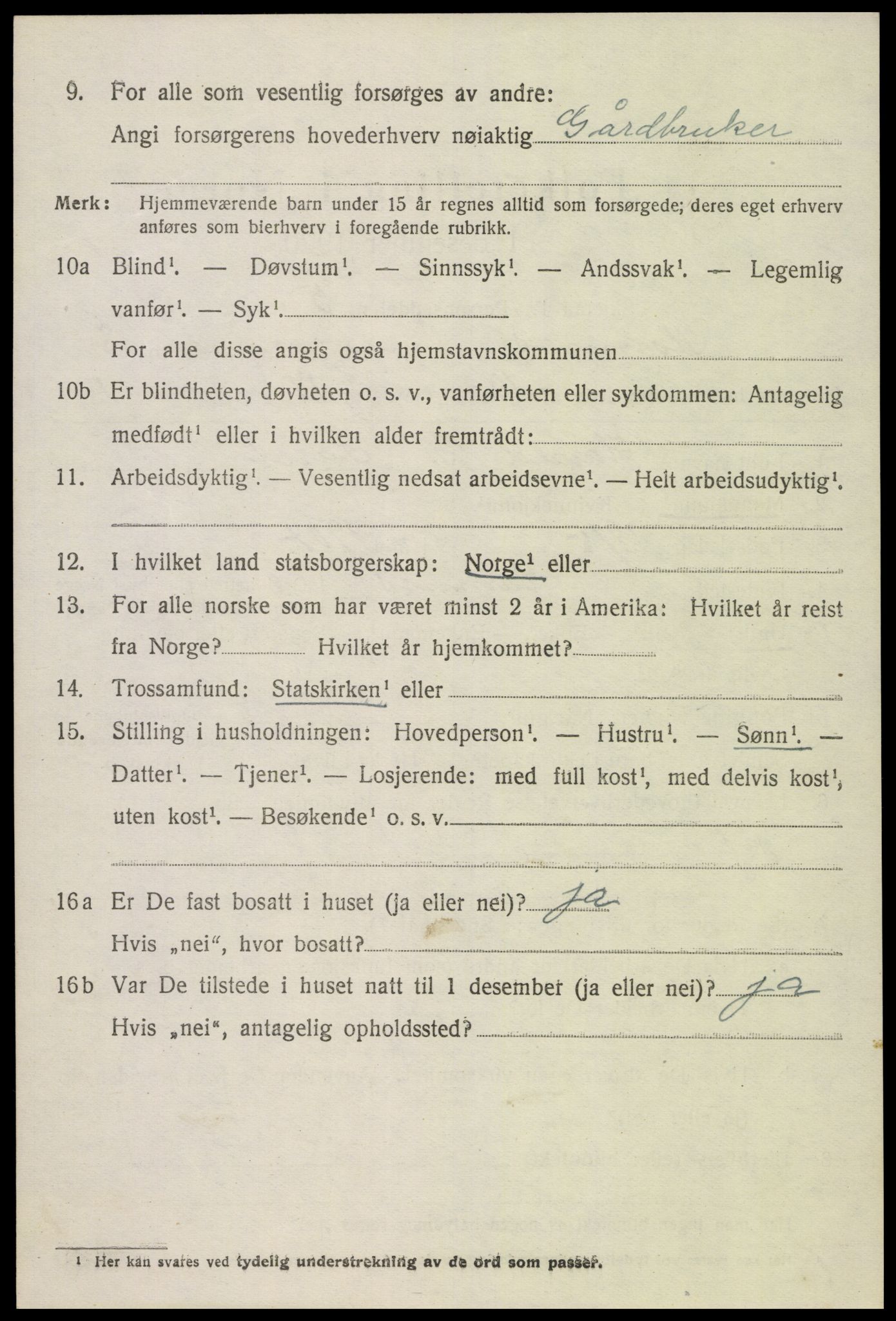 SAK, 1920 census for Hornnes, 1920, p. 1986