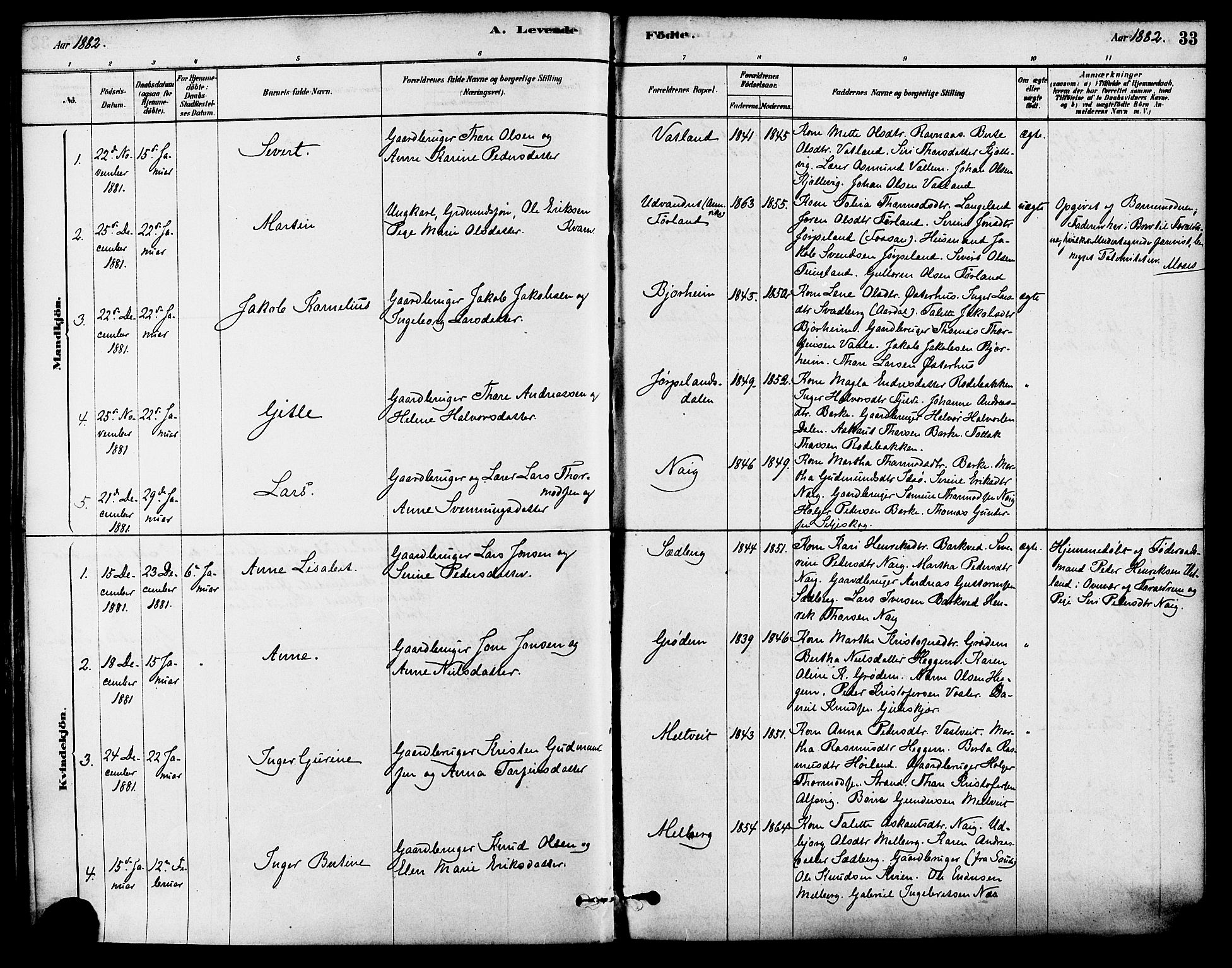 Strand sokneprestkontor, SAST/A-101828/H/Ha/Haa/L0009: Parish register (official) no. A 9, 1877-1908, p. 33