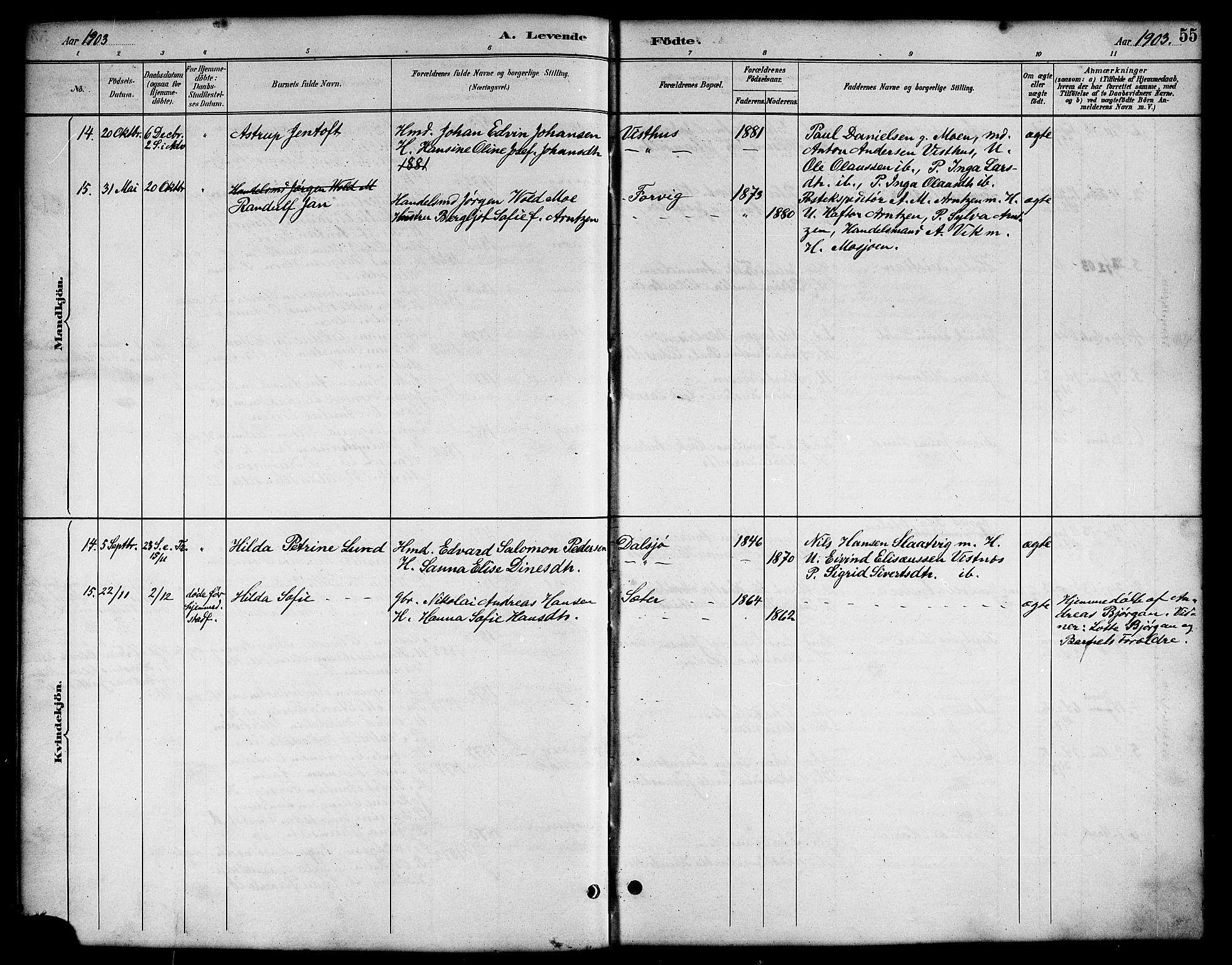 Ministerialprotokoller, klokkerbøker og fødselsregistre - Nordland, AV/SAT-A-1459/819/L0277: Parish register (copy) no. 819C03, 1888-1917, p. 55