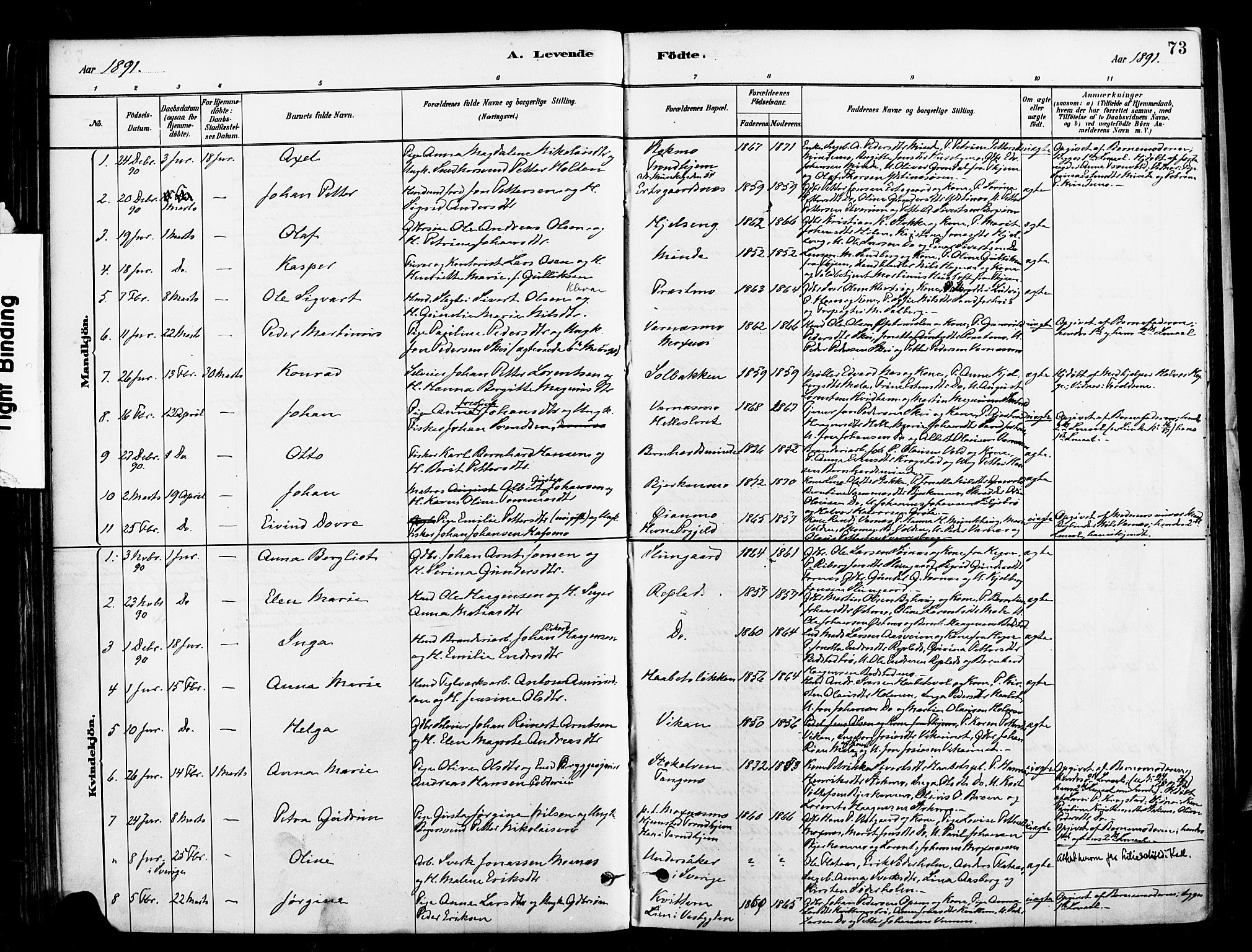 Ministerialprotokoller, klokkerbøker og fødselsregistre - Nord-Trøndelag, AV/SAT-A-1458/709/L0077: Parish register (official) no. 709A17, 1880-1895, p. 73