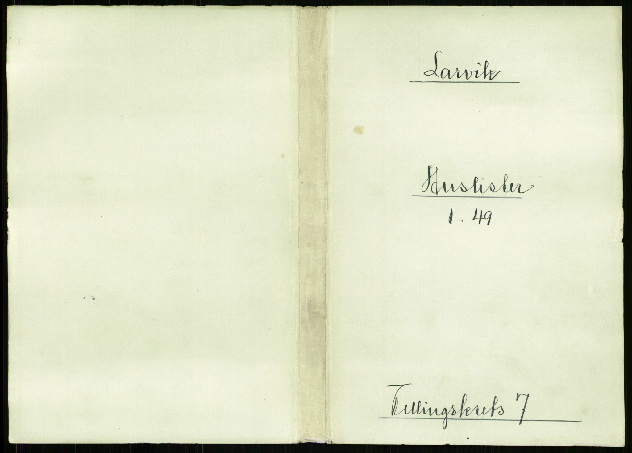 RA, 1891 census for 0707 Larvik, 1891, p. 905