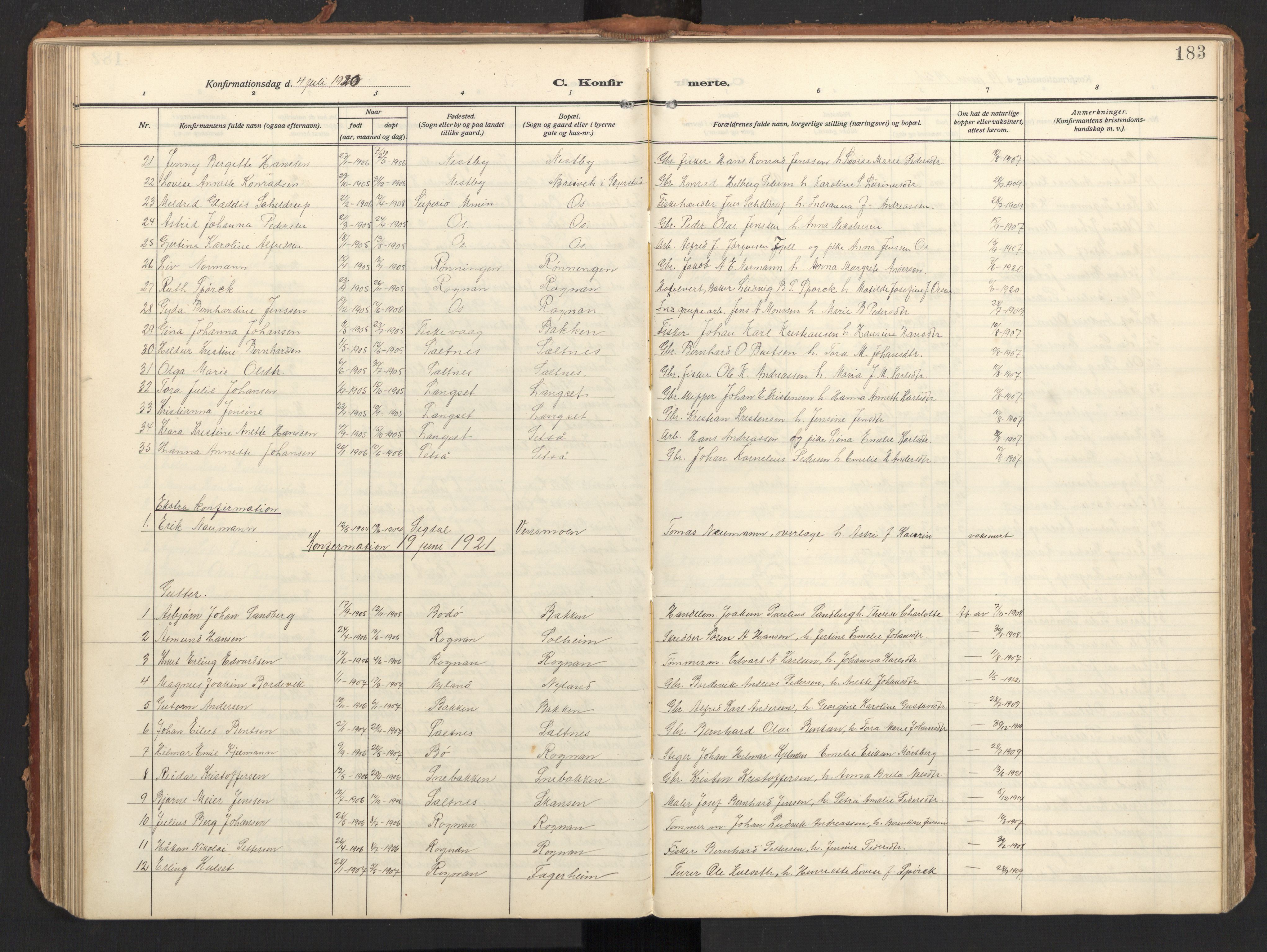 Ministerialprotokoller, klokkerbøker og fødselsregistre - Nordland, SAT/A-1459/847/L0683: Parish register (copy) no. 847C11, 1908-1929, p. 183