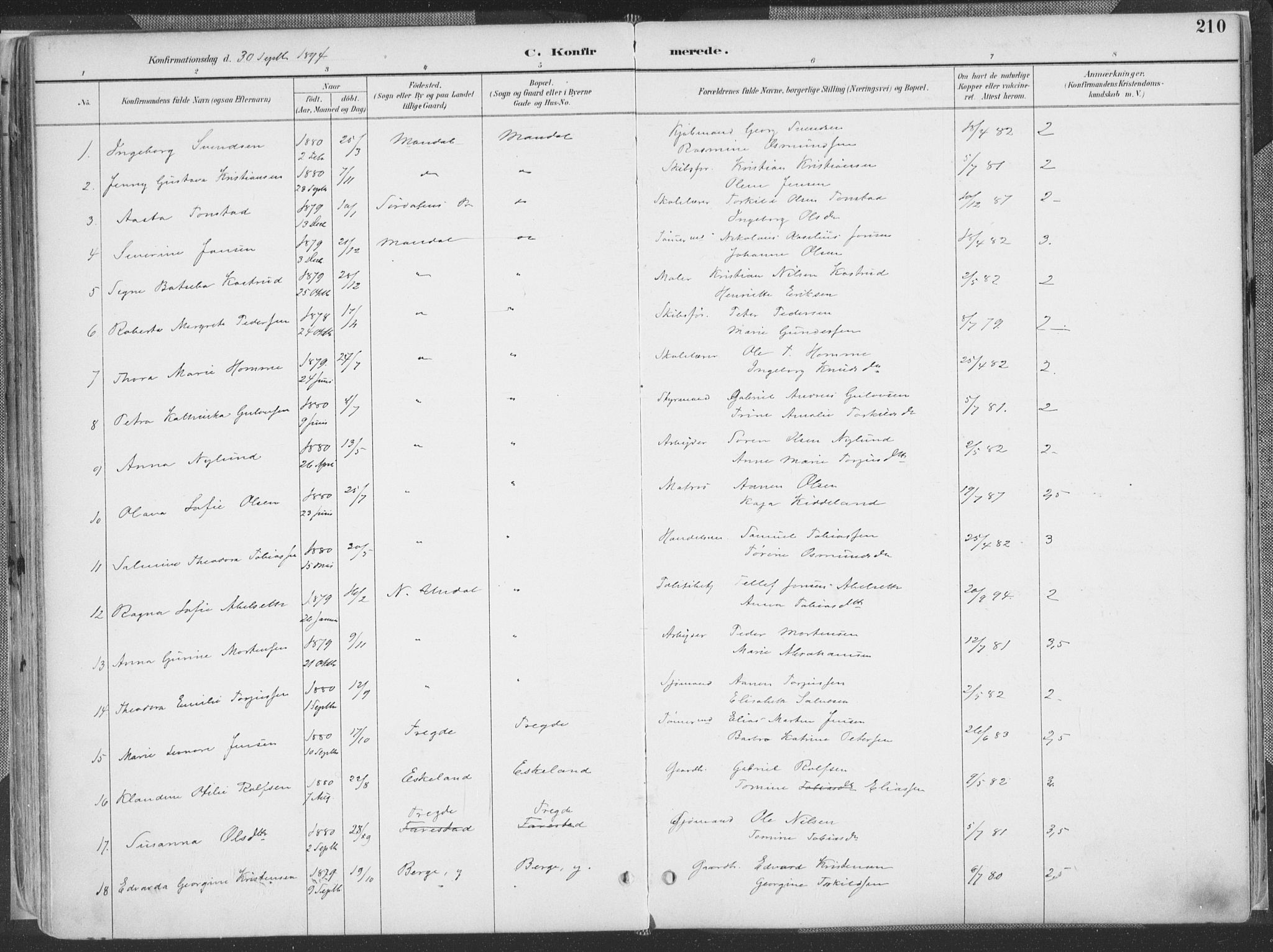 Mandal sokneprestkontor, SAK/1111-0030/F/Fa/Faa/L0018: Parish register (official) no. A 18, 1890-1905, p. 210