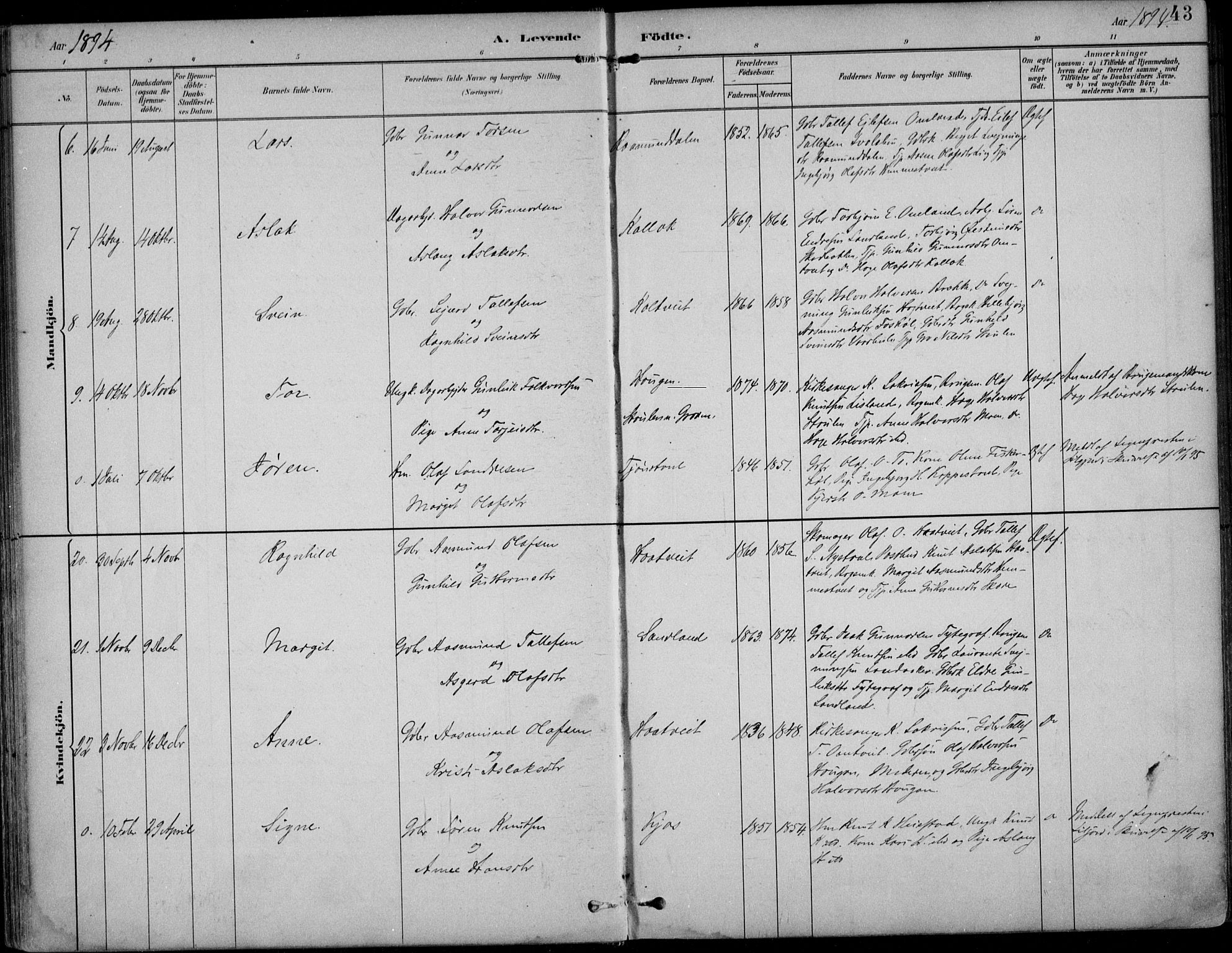 Kviteseid kirkebøker, AV/SAKO-A-276/F/Fb/L0002: Parish register (official) no. II 2, 1882-1916, p. 43