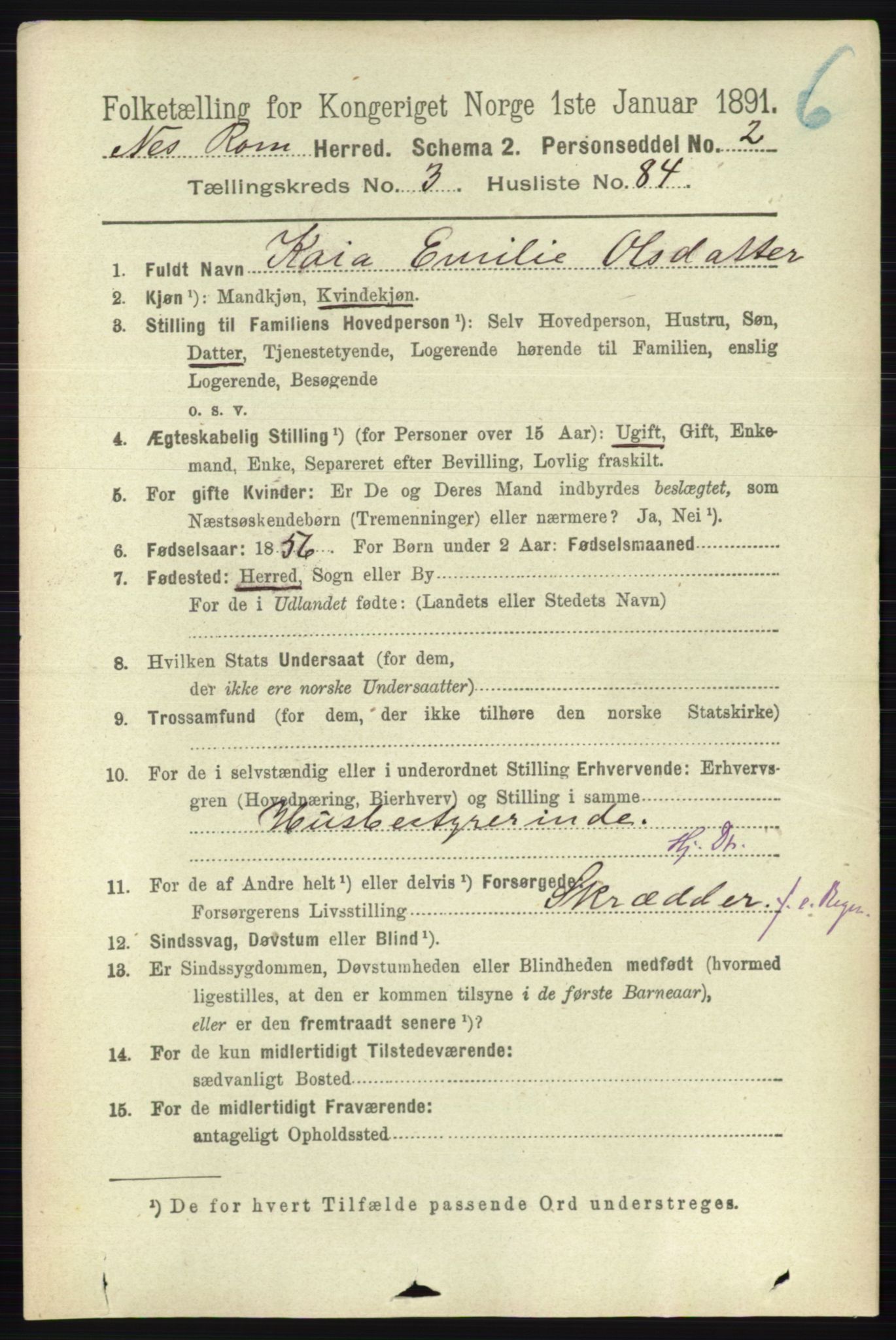 RA, 1891 census for 0236 Nes, 1891, p. 2178