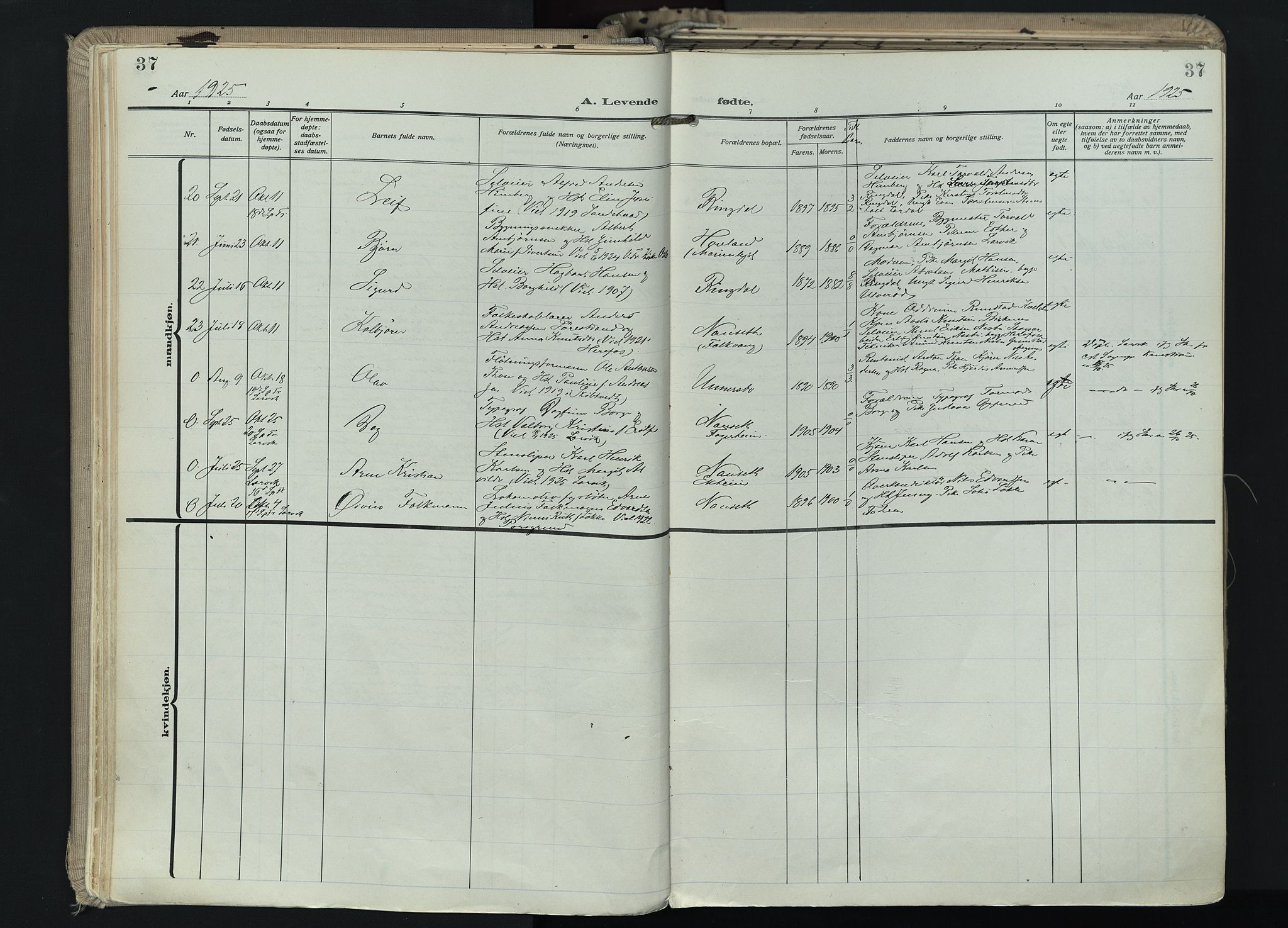 Hedrum kirkebøker, SAKO/A-344/F/Fa/L0011: Parish register (official) no. I 11, 1919-1933, p. 37