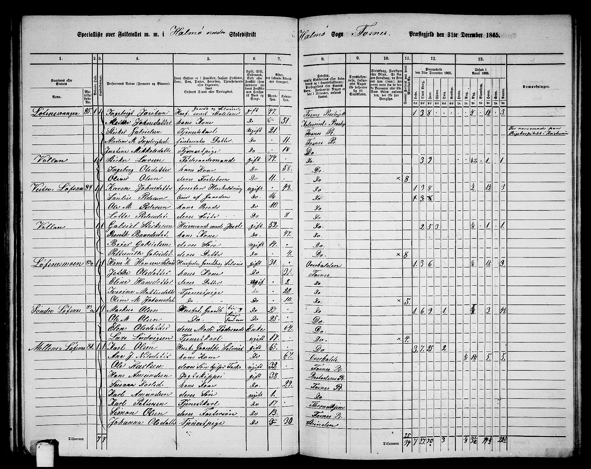RA, 1865 census for Fosnes, 1865, p. 62