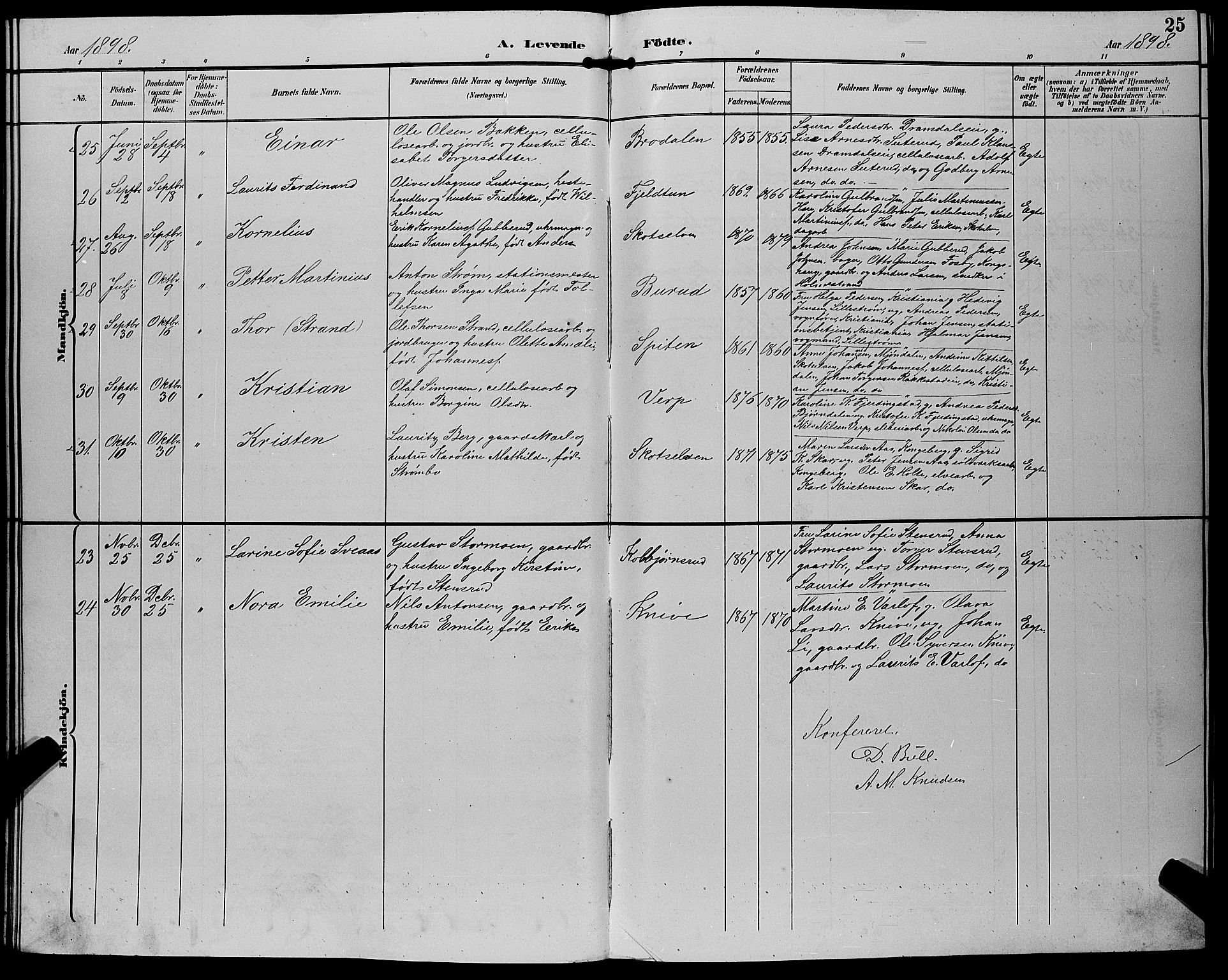 Eiker kirkebøker, AV/SAKO-A-4/G/Gb/L0004: Parish register (copy) no. II 4, 1894-1900, p. 25