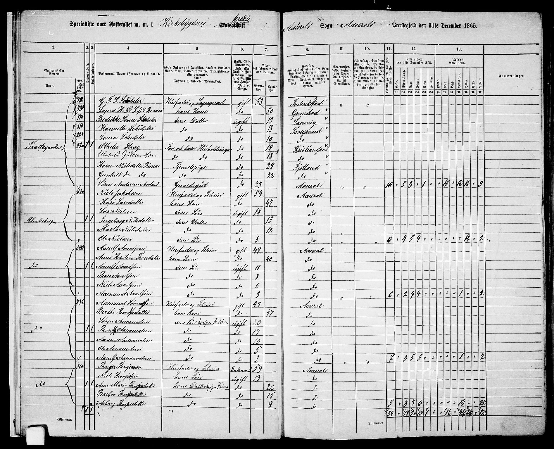 RA, 1865 census for Åseral, 1865, p. 11