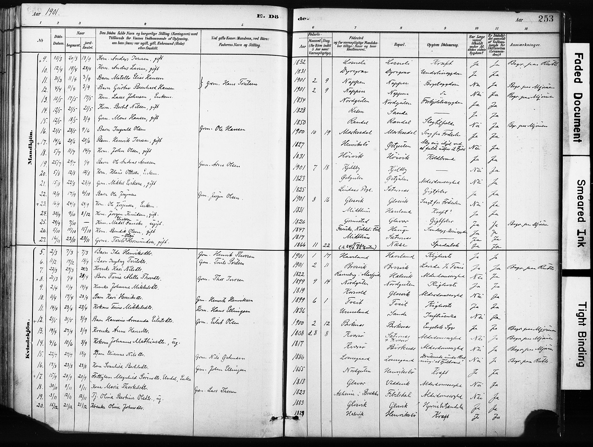 Gulen sokneprestembete, AV/SAB-A-80201/H/Haa/Haab/L0001: Parish register (official) no. B 1, 1881-1905, p. 253