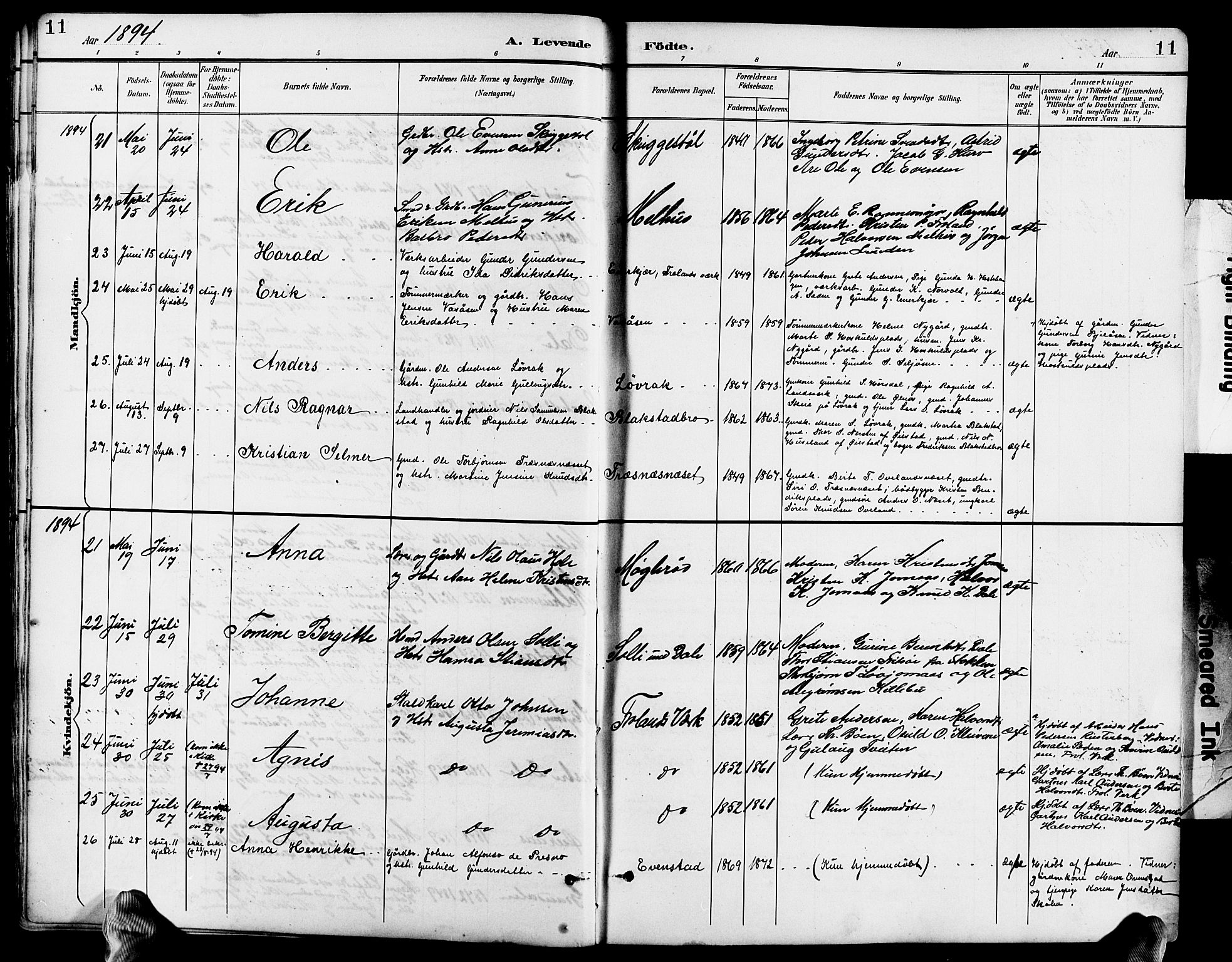 Froland sokneprestkontor, AV/SAK-1111-0013/F/Fb/L0010: Parish register (copy) no. B 10, 1893-1920, p. 11