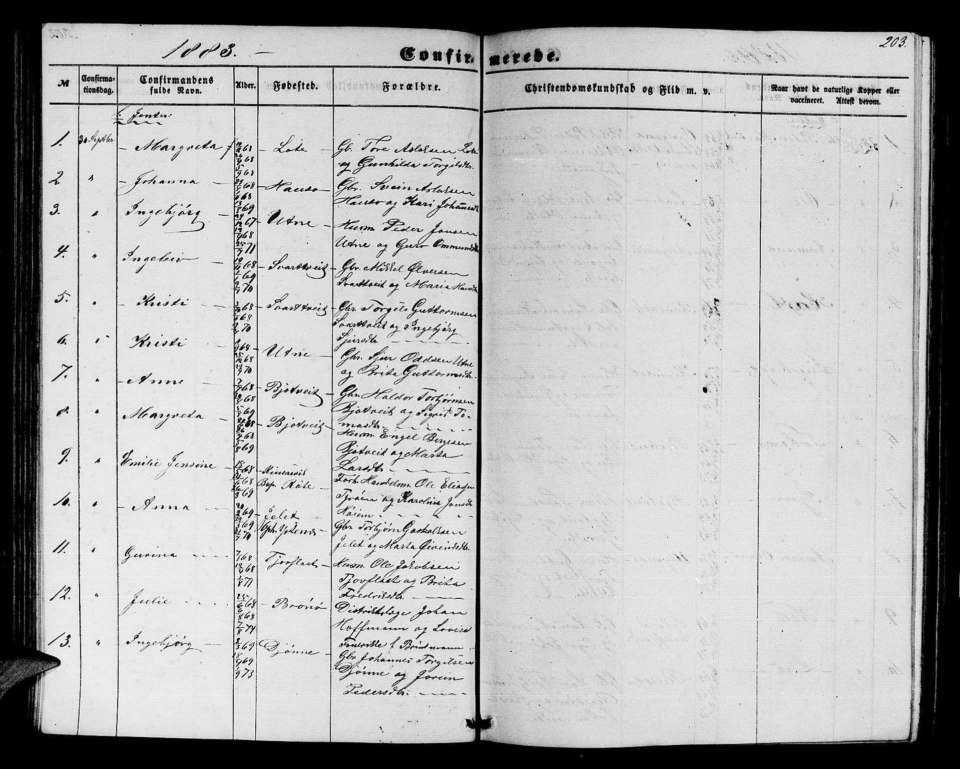Ullensvang sokneprestembete, SAB/A-78701/H/Hab: Parish register (copy) no. E 6, 1857-1886, p. 203