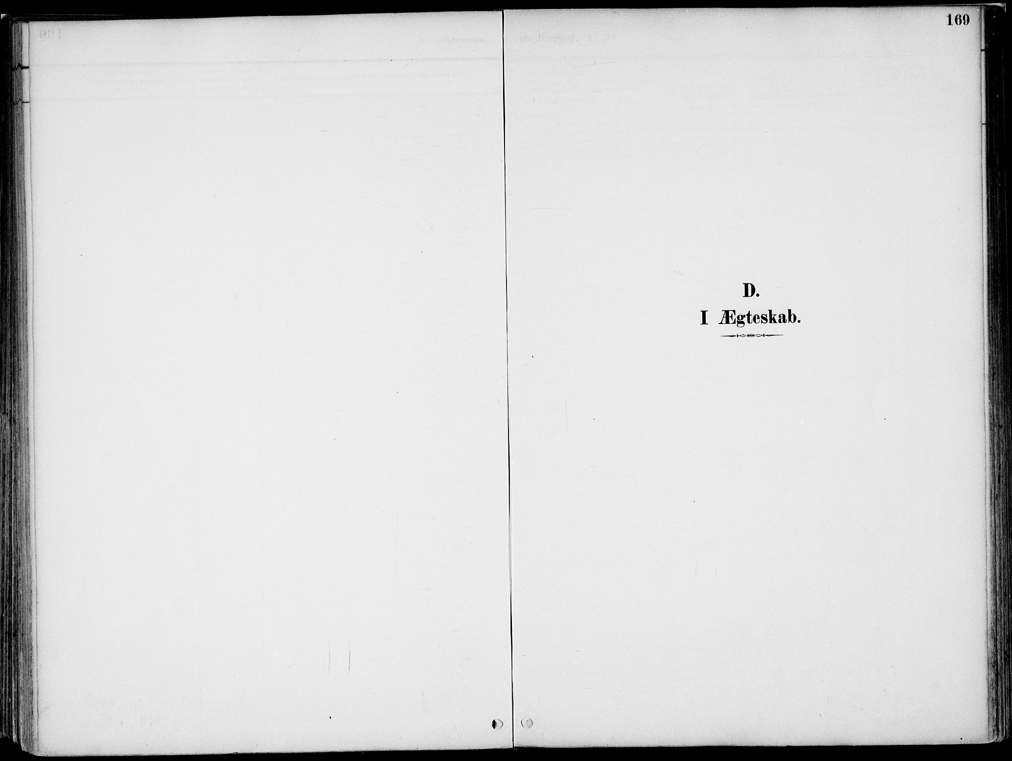 Nord-Odal prestekontor, SAH/PREST-032/H/Ha/Haa/L0008: Parish register (official) no. 8, 1886-1901, p. 169
