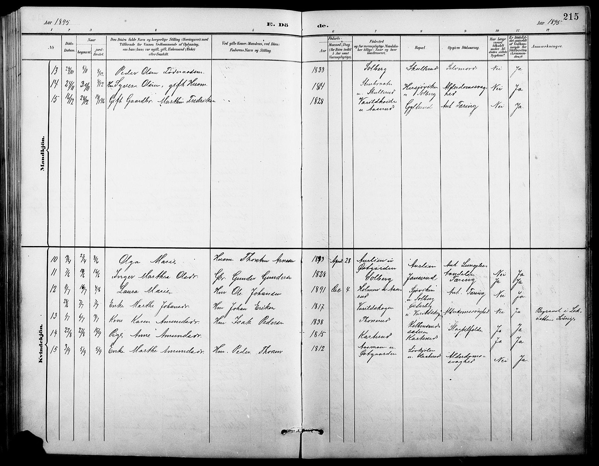 Vinger prestekontor, AV/SAH-PREST-024/H/Ha/Hab/L0004: Parish register (copy) no. 4, 1895-1920, p. 215