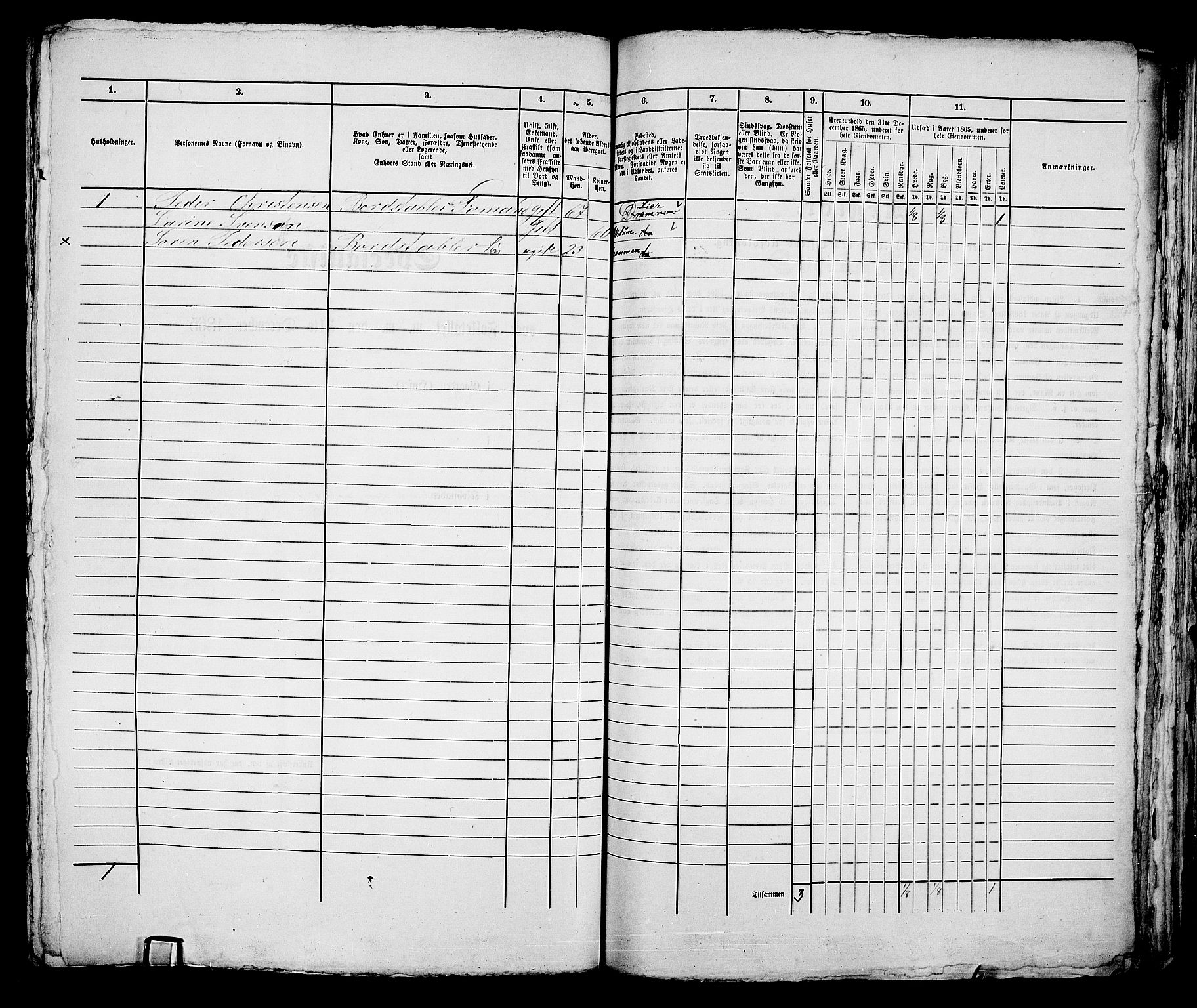 RA, 1865 census for Bragernes in Drammen, 1865, p. 1047