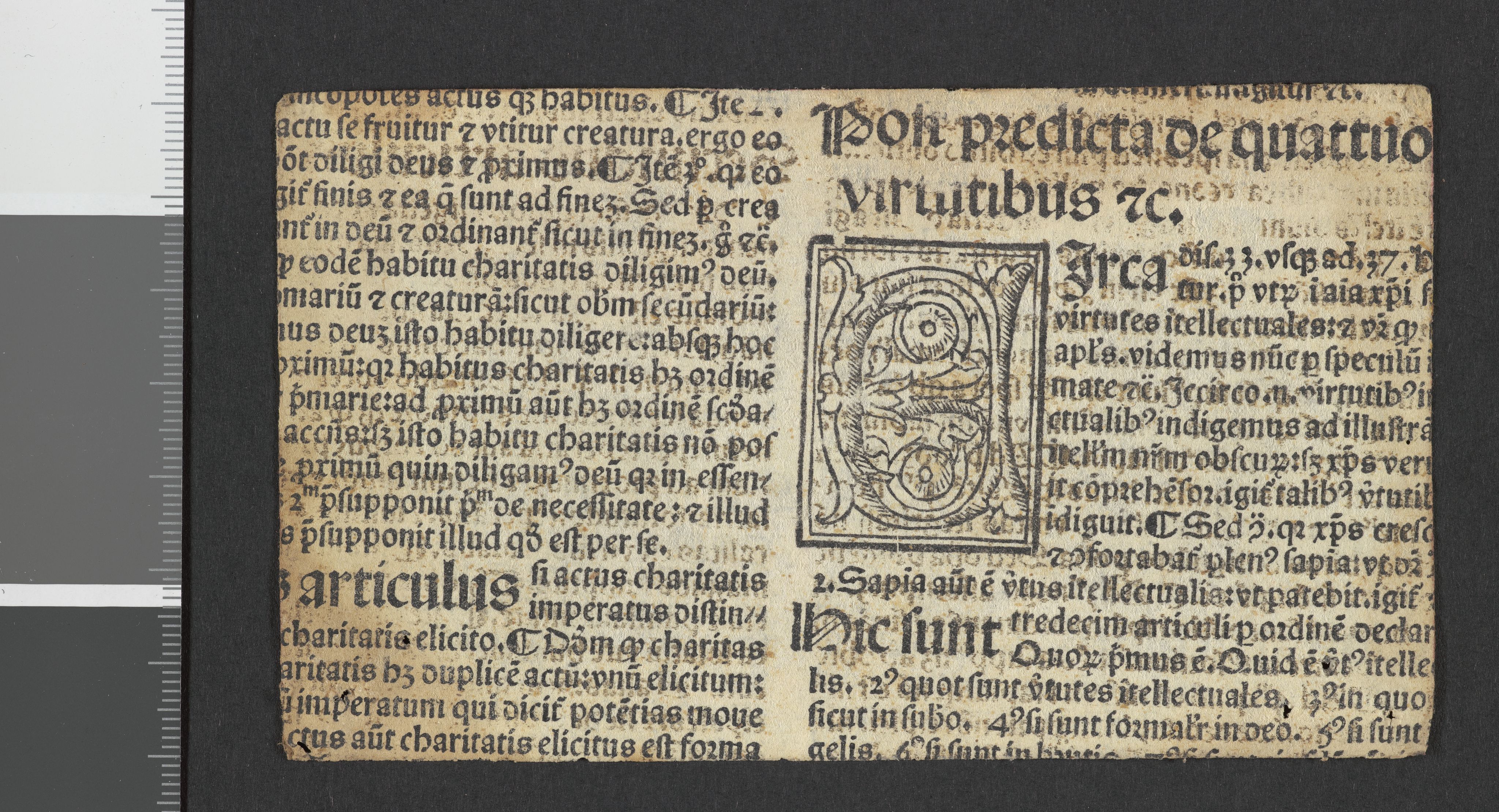 Tellefsen, Johan Christian, AV/RA-PA-0792/Fc/L0003: Membranfragmenter, 1100-1536, p. 347
